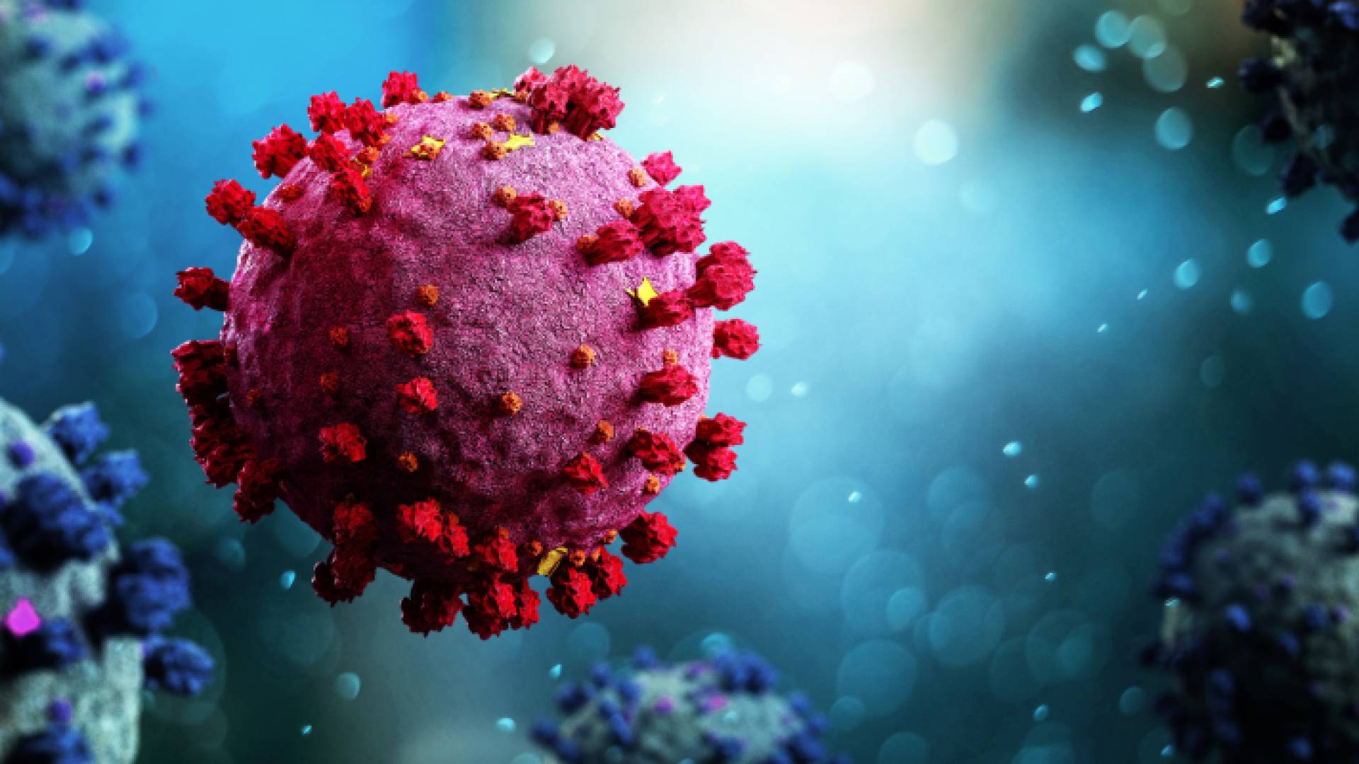 صورة تعبيرية فيروس كورونا