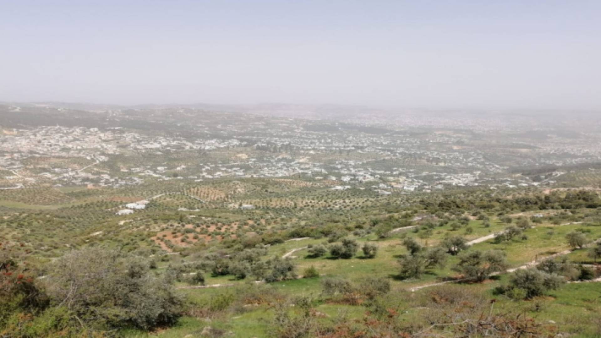 مدينة جرش