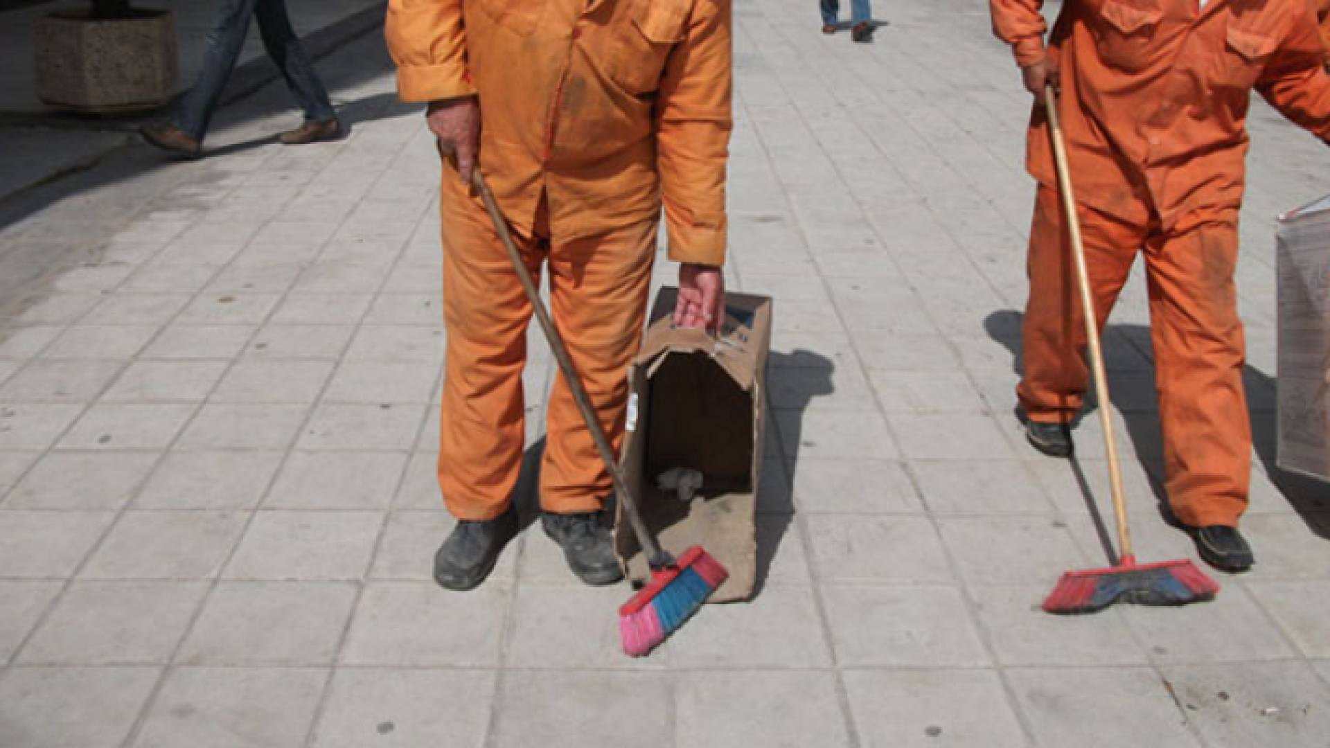 صورة لعامل وطن - تعبيرية