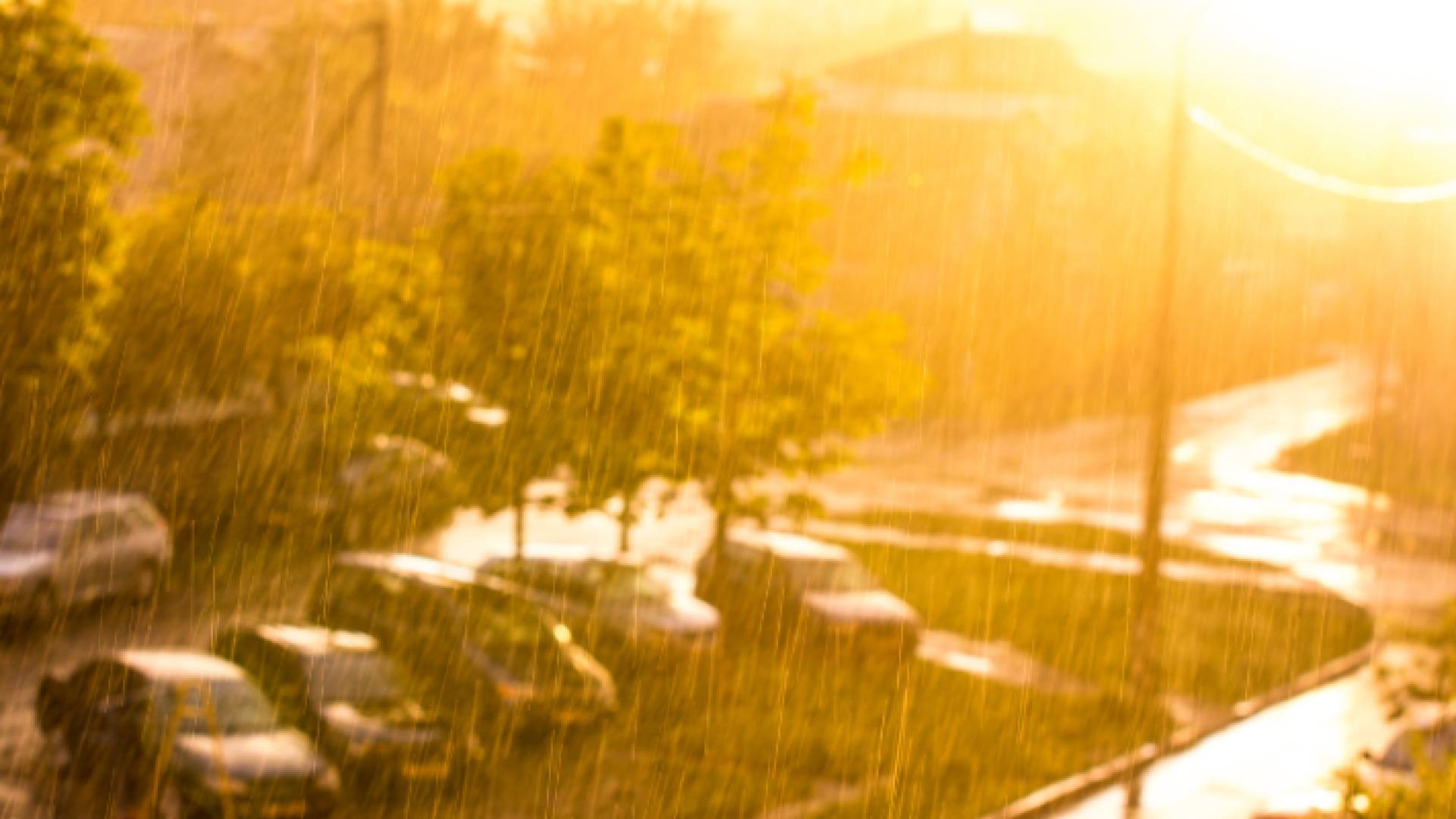 أمطار غزيرة