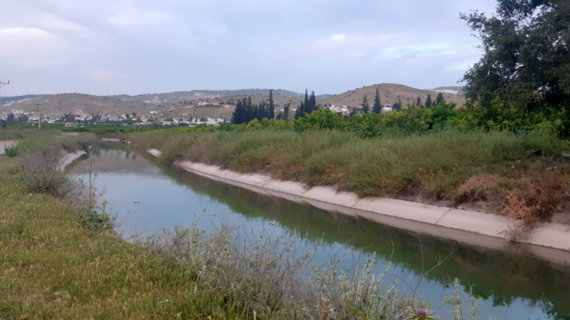 الأغوار الشمالية