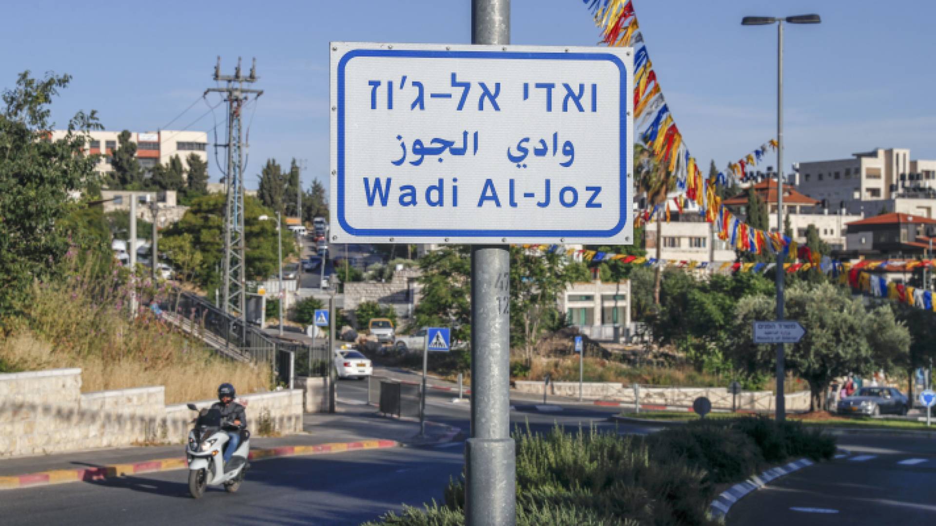 حي وادي الجوز