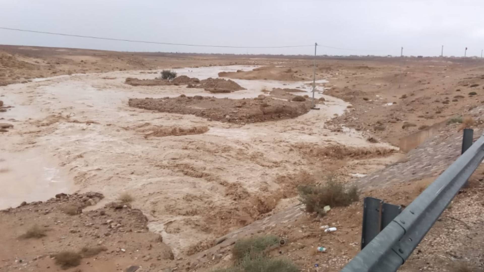 سيول