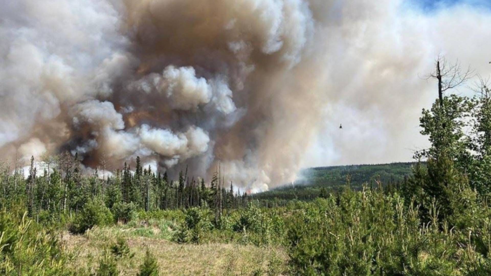 حرائق الغابات في كندا