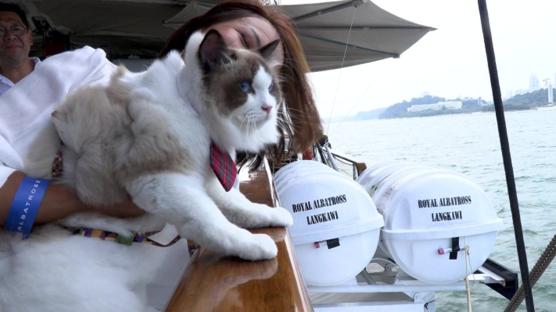 على متن السفينة الشراعية