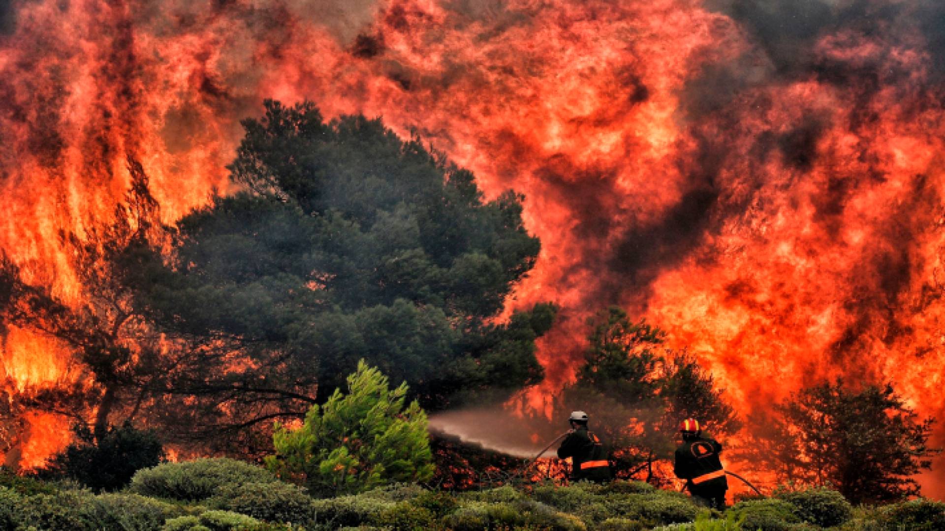 حرائق غابات هائلة