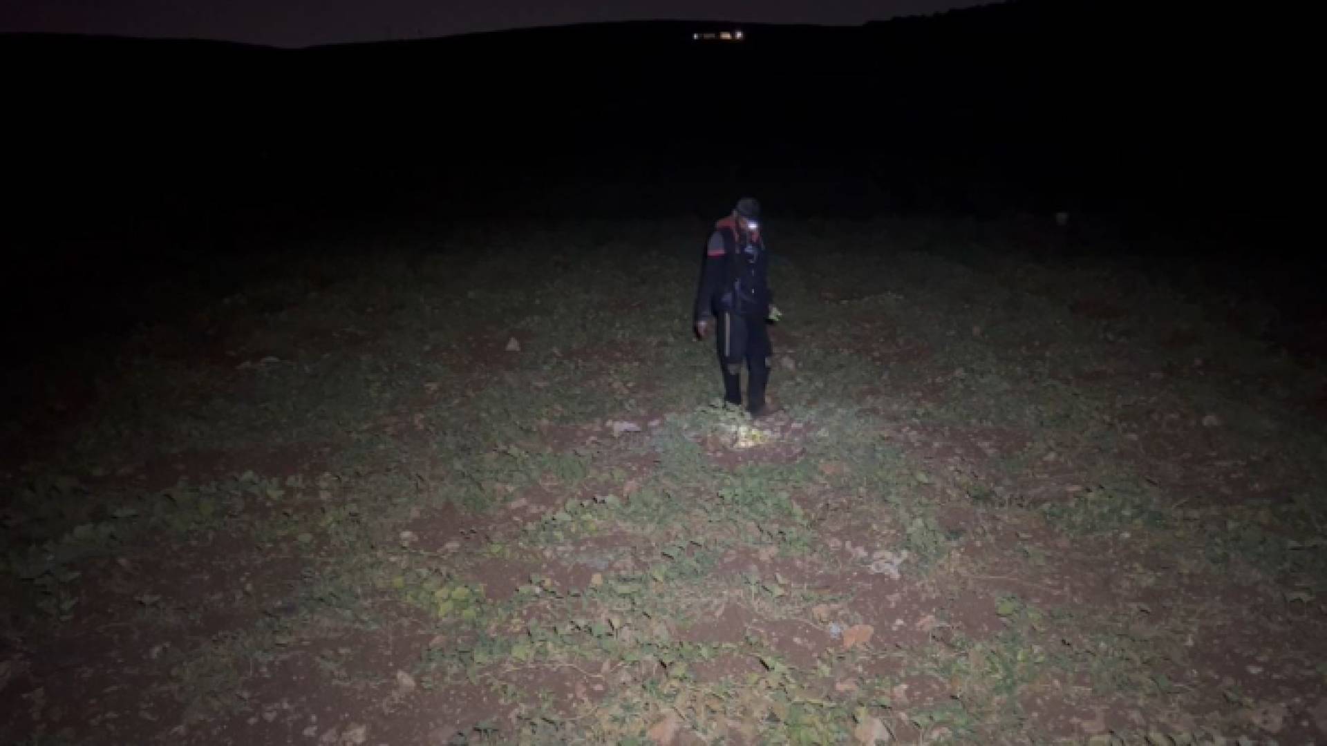 مزارع يقطف الفقوس في ساعات الليل