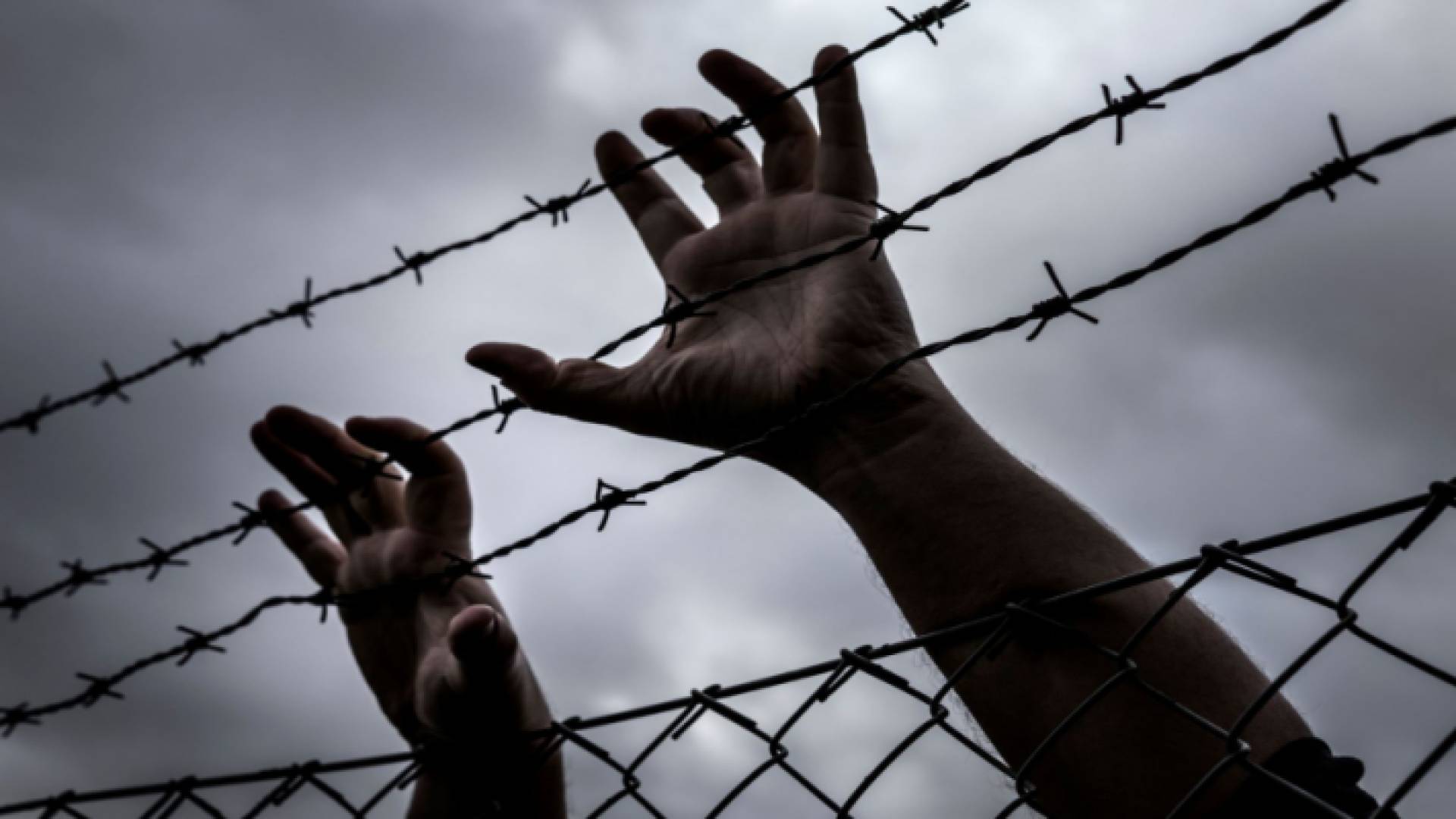 أسير خلف أسوار سجون الاحتلال