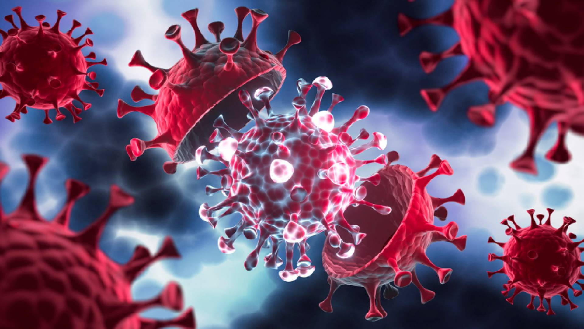 صورة تعبر عن الفيروسات