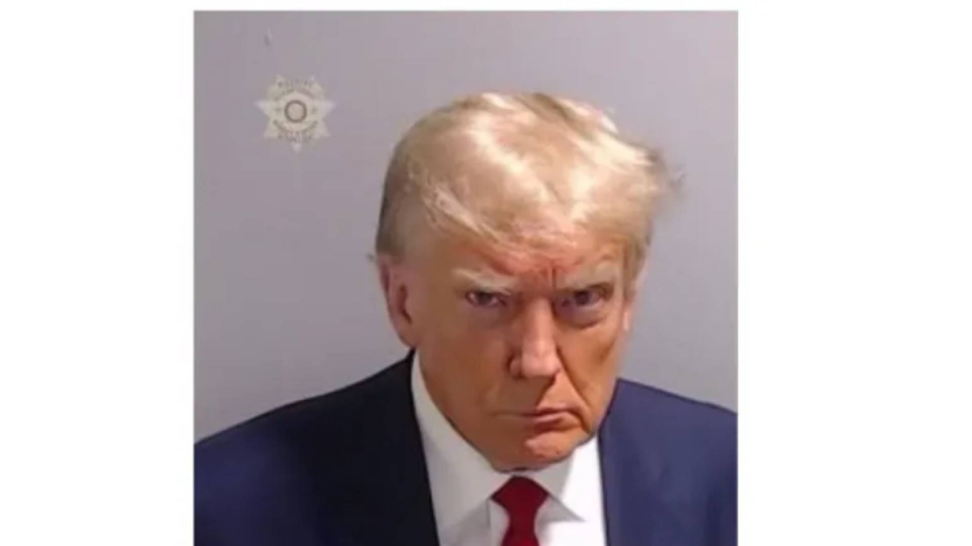 "الصورة الجنائية" لدونالد ترمب