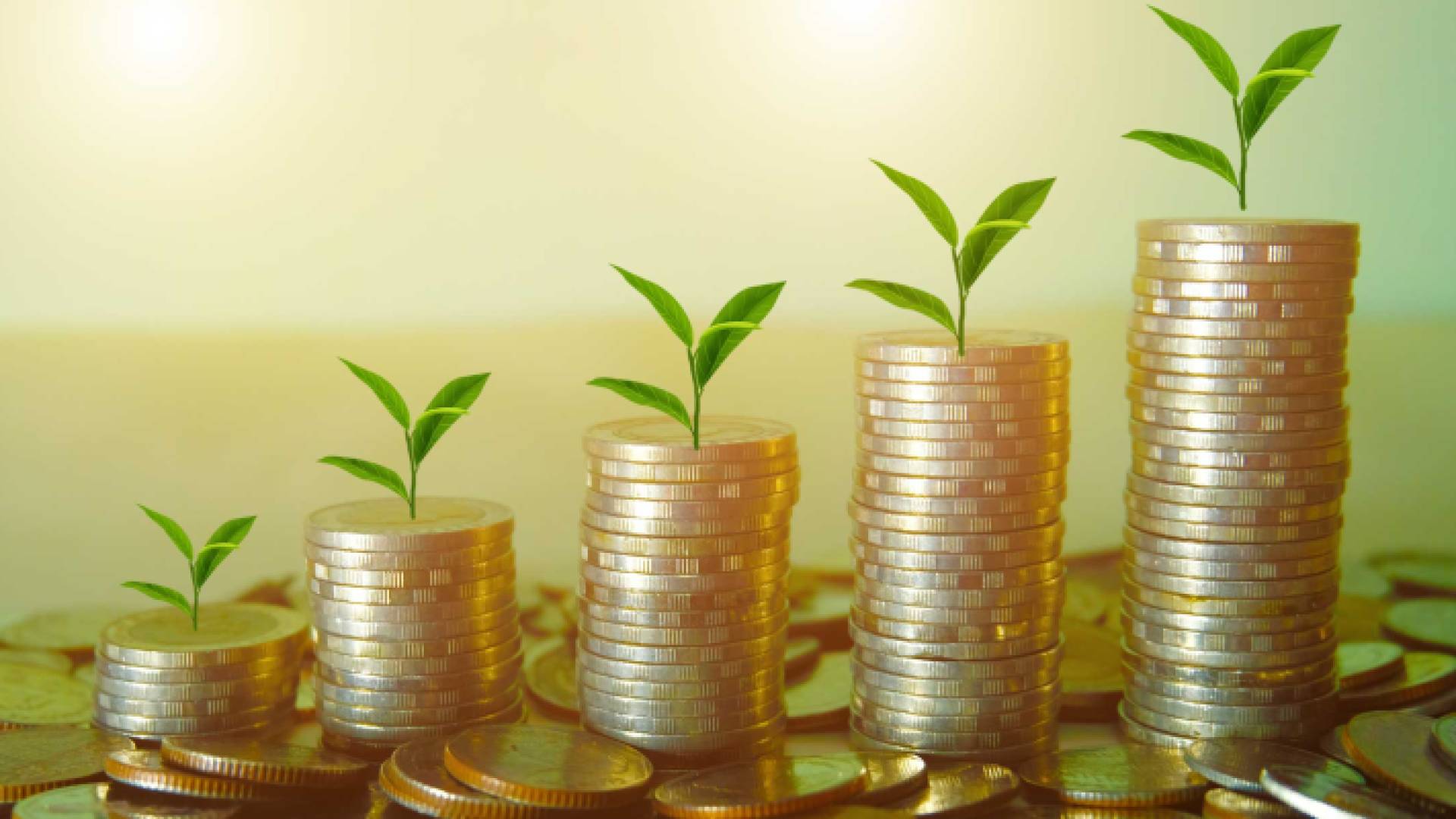 صورة تعبر عن تمويل المشاريع