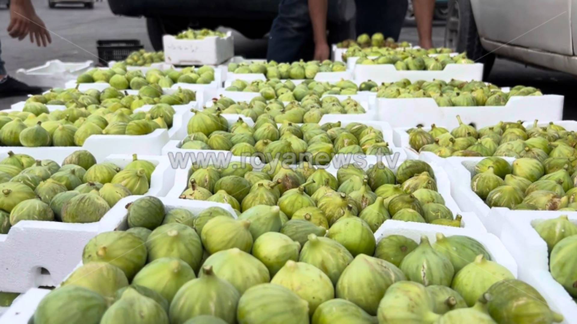 بيع التين في عرجان في عجلون