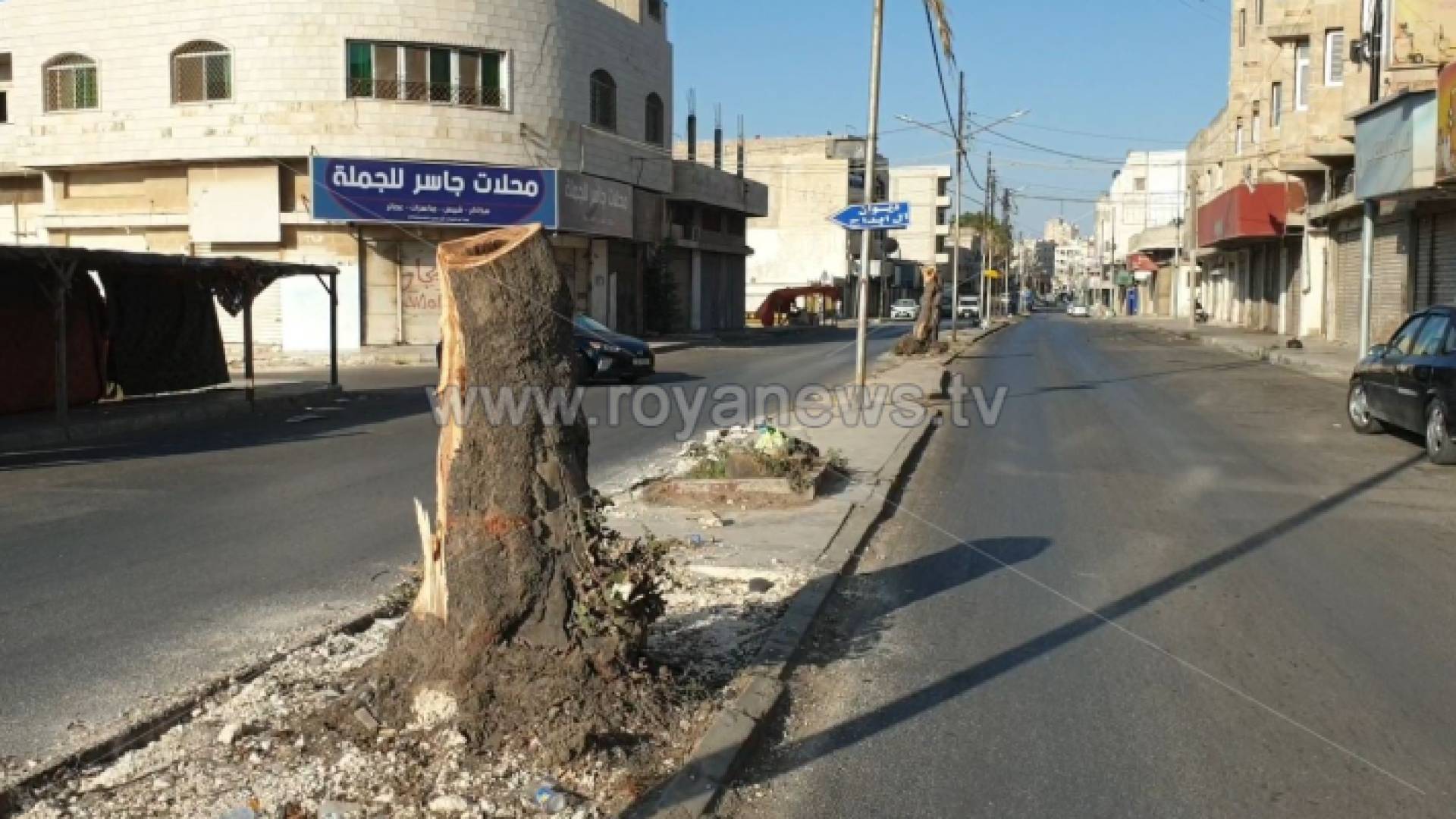 قطع عشرات الأشجار بشارع الملك فيصل