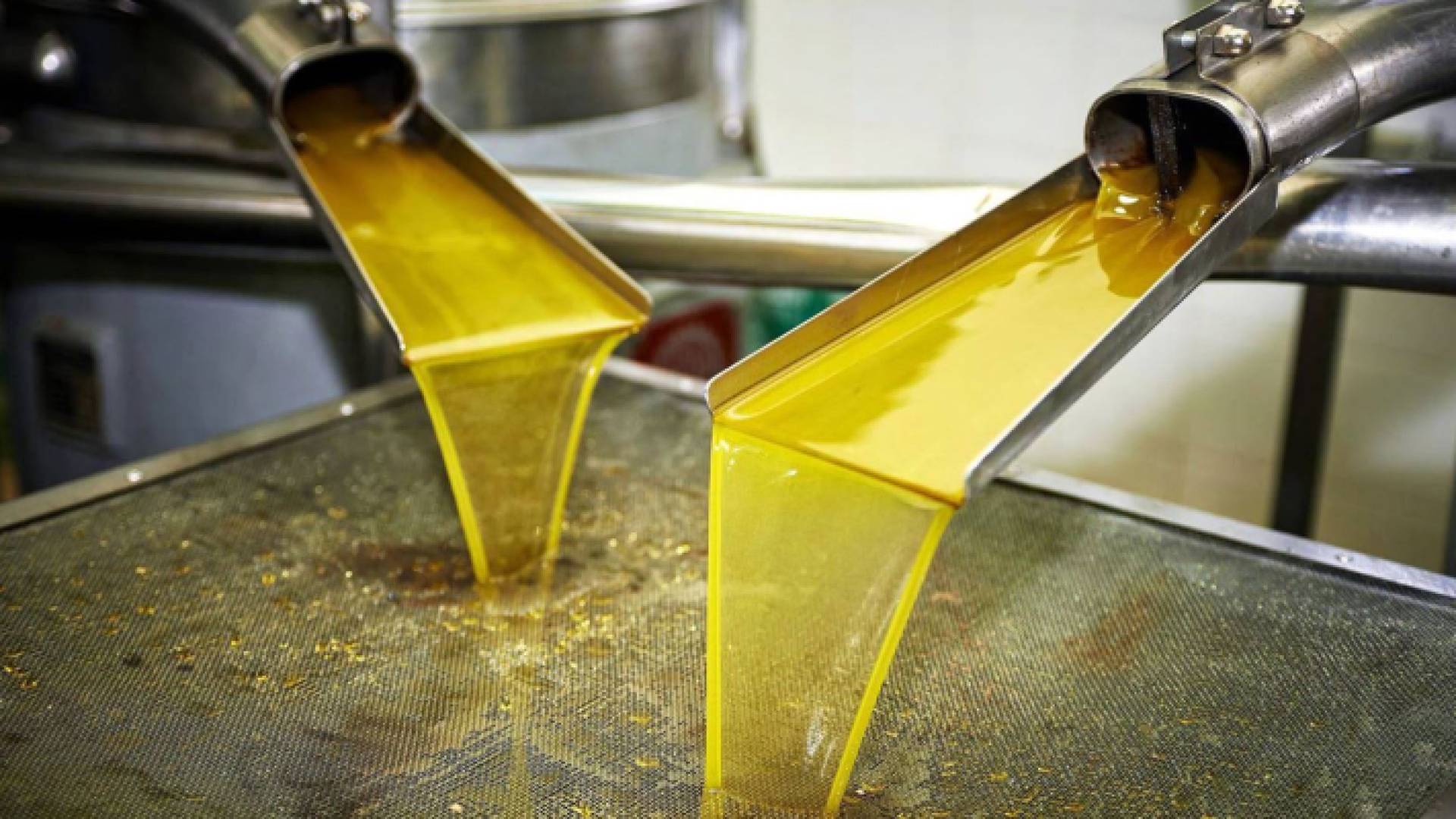 معصرة زيت زيتون