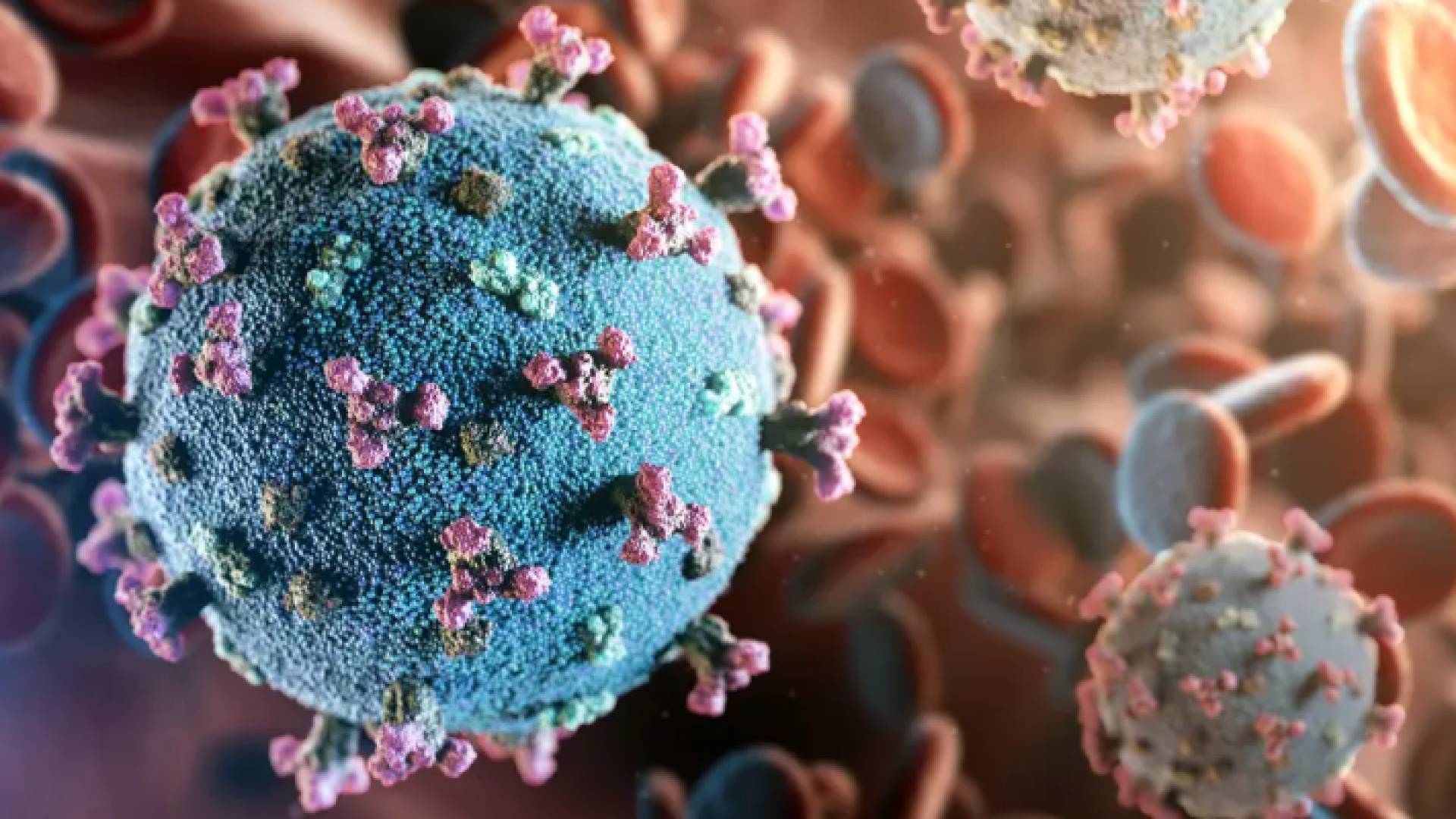 فيروس كورونا - تعبيرية