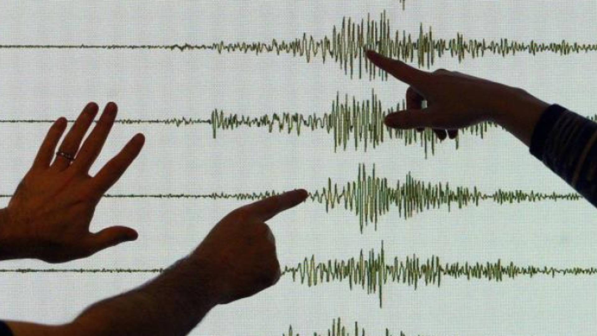 تسجيل زلزال