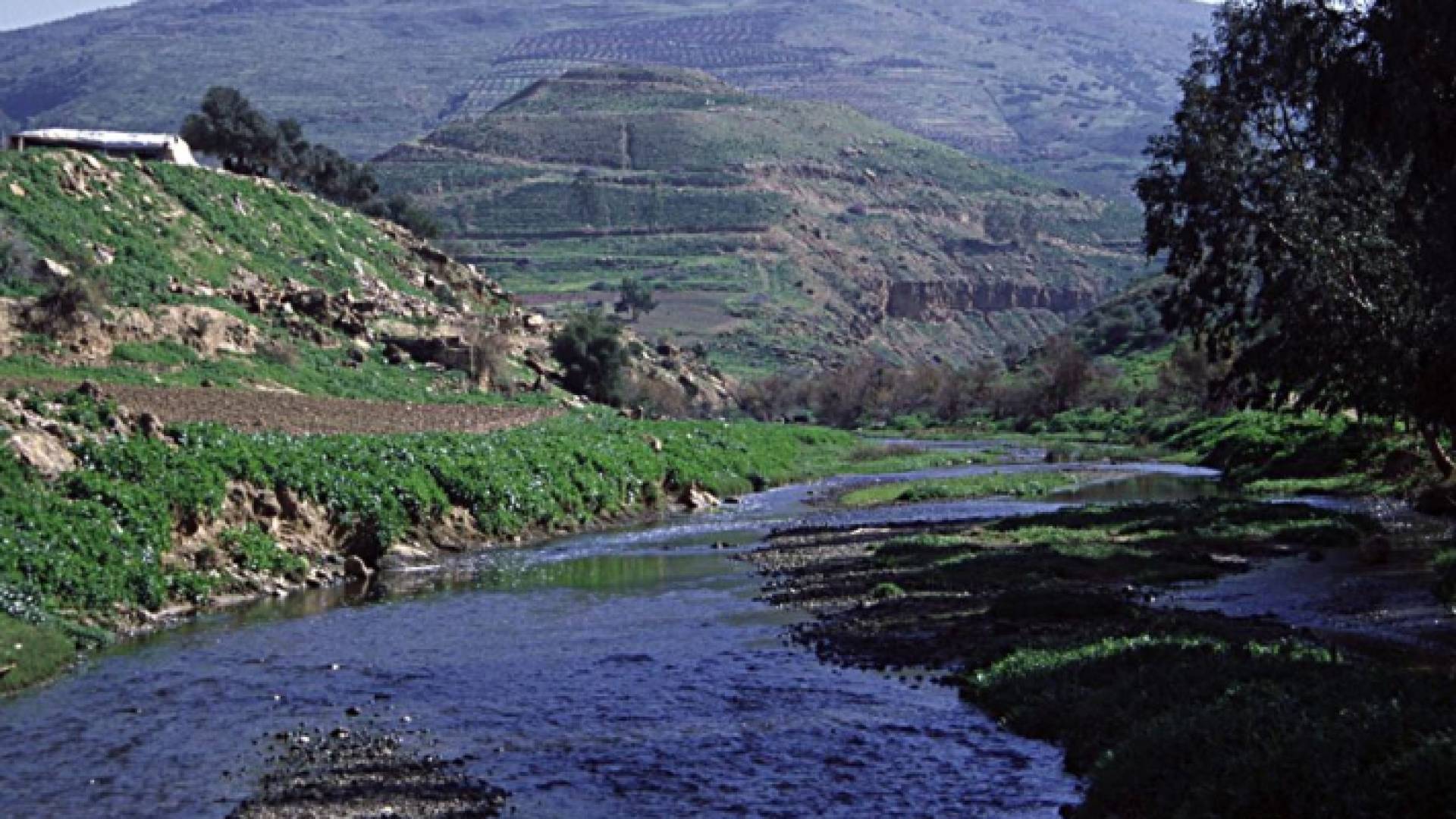 سيل الزرقاء