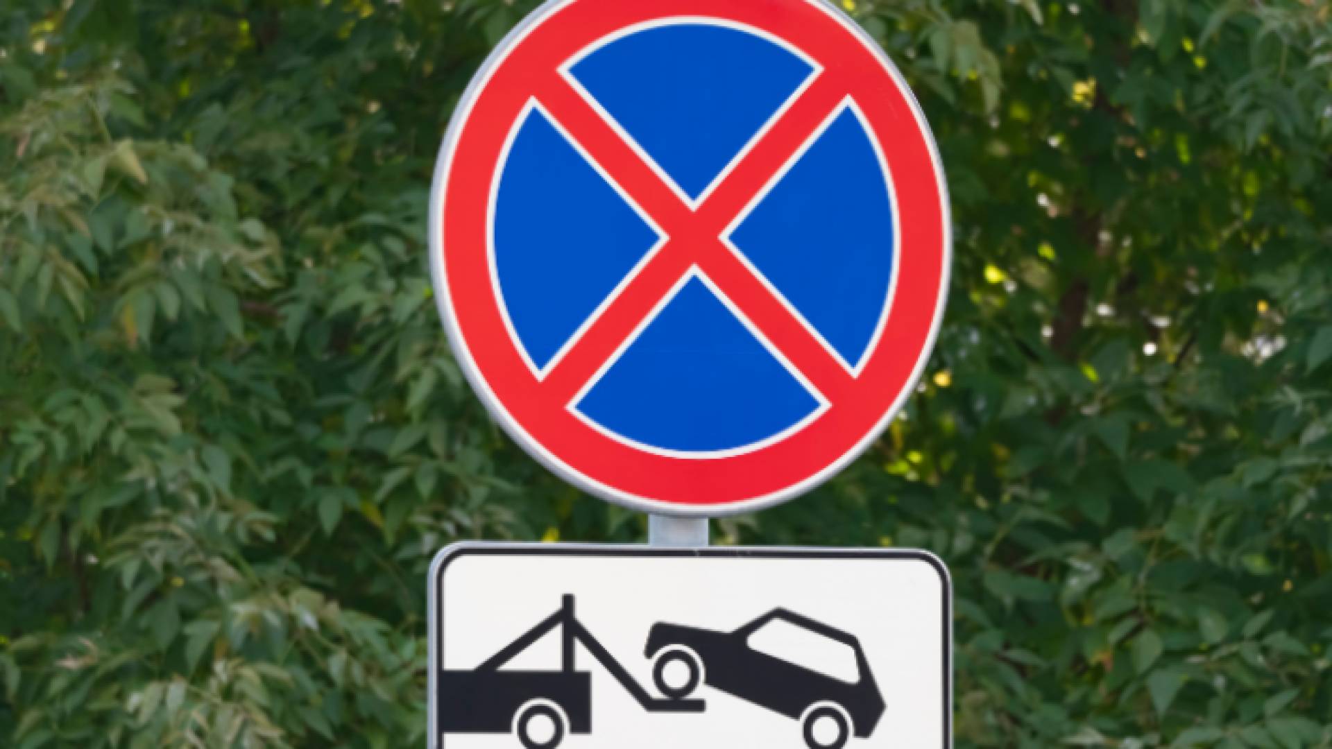 شاخصة مرورية "تعبيرية"