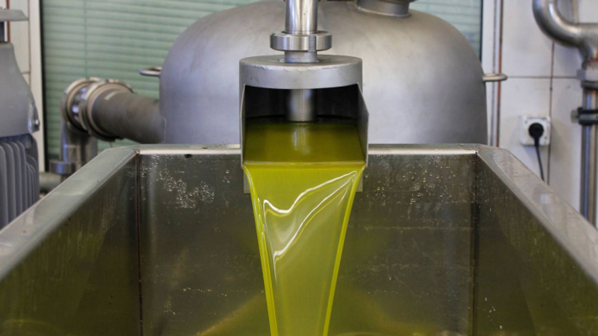 معاصر الزيتون