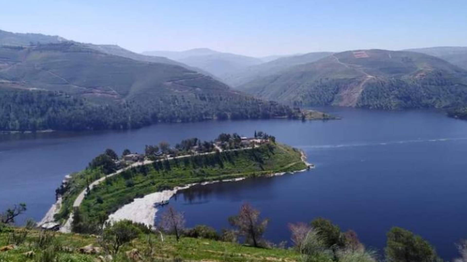 سلطة وادي الأردن