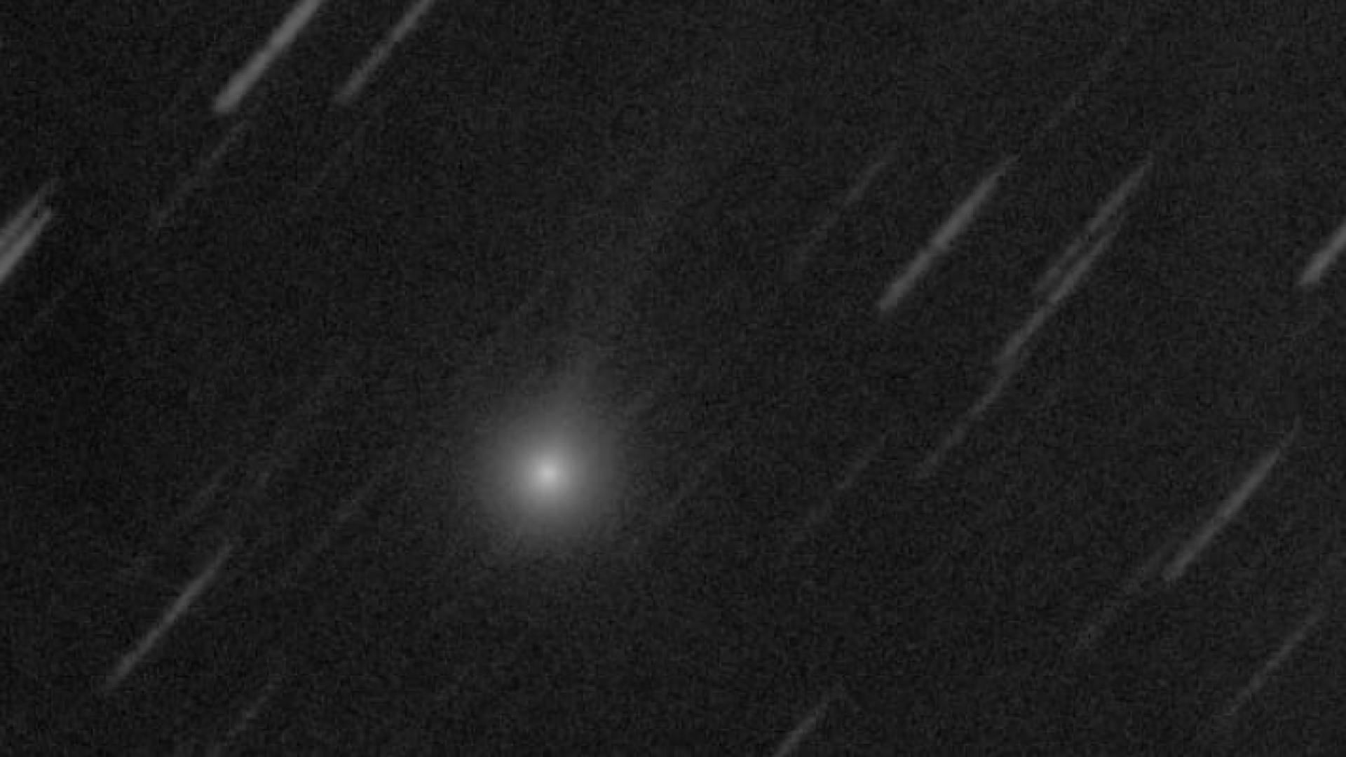 صورة المذنب كما رصد في سماء الأردن