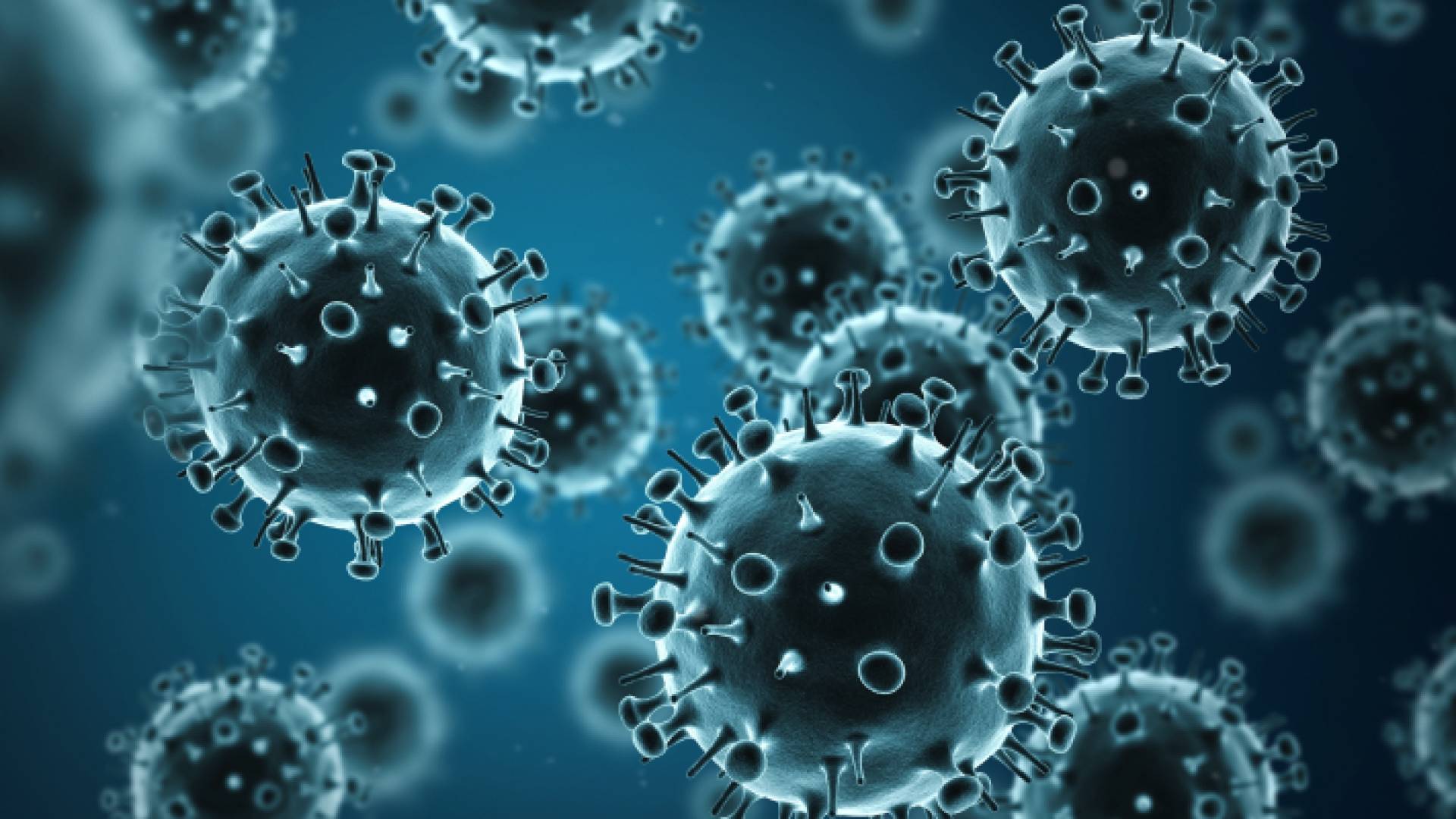 صورة تعبر عن خلايا الانفلونزا