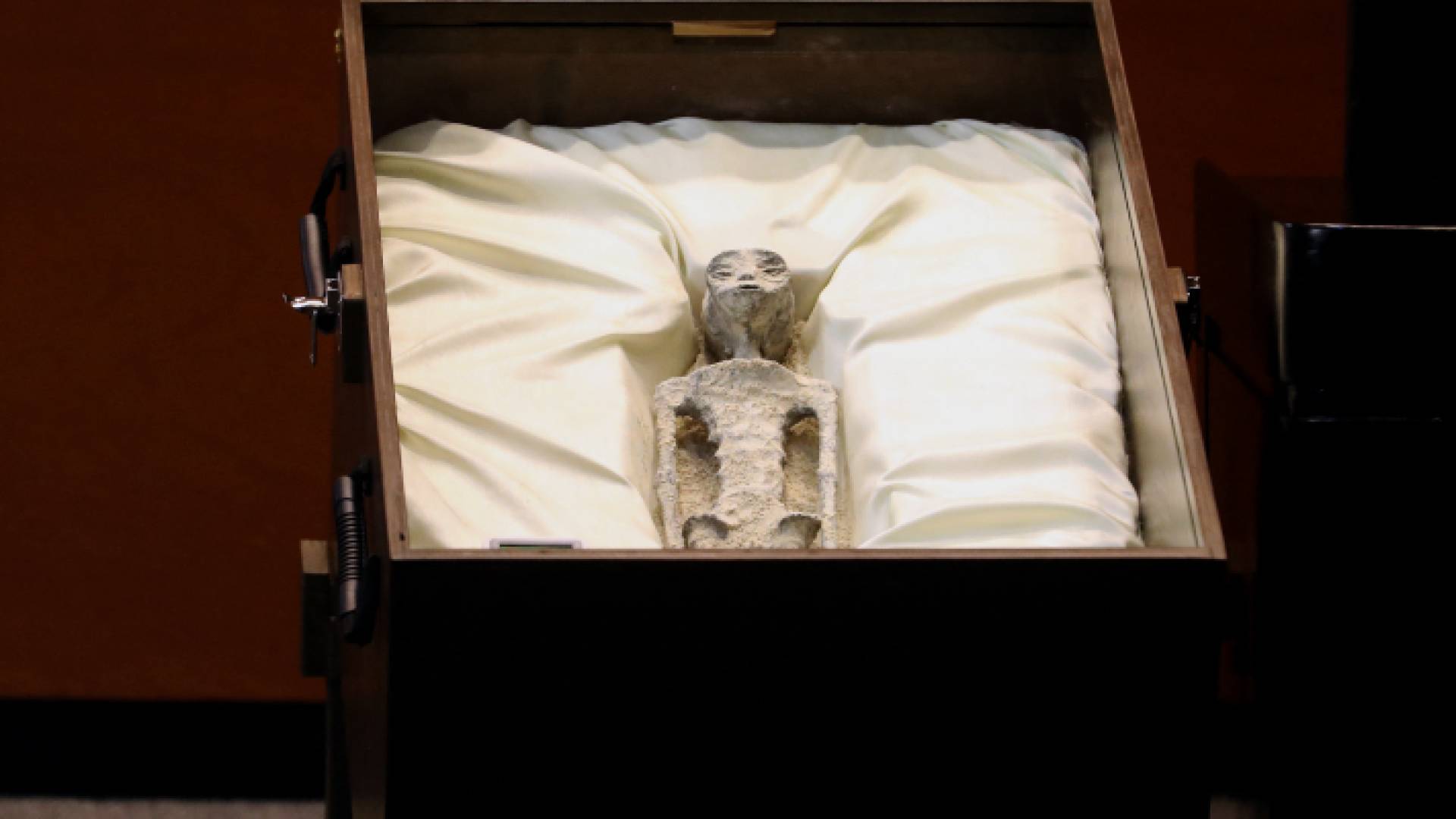 إحدى الجثث التي زعمت أنها تعود لـ"كائن فضائي"