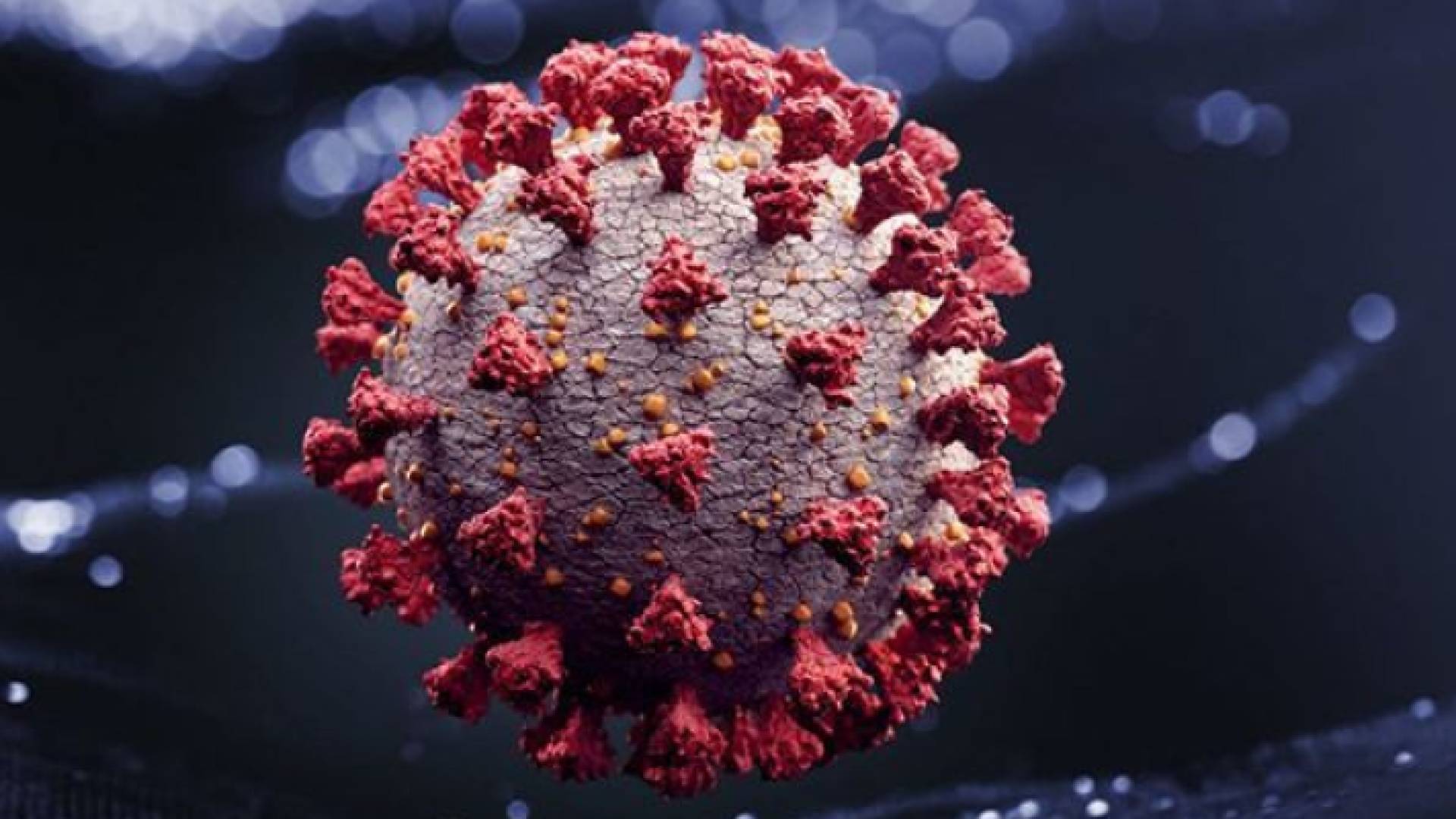 صورة مقطع توضيحي لمتحور "إيريس"