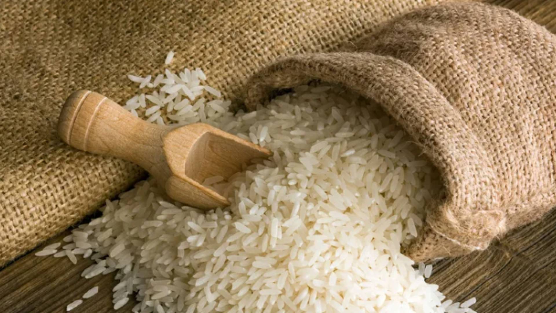 مادة الأرز