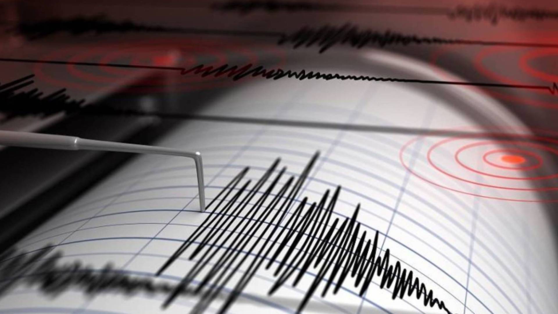 مرصد الزلازل: لم نسجل أي حدث زلزالي في الأردن