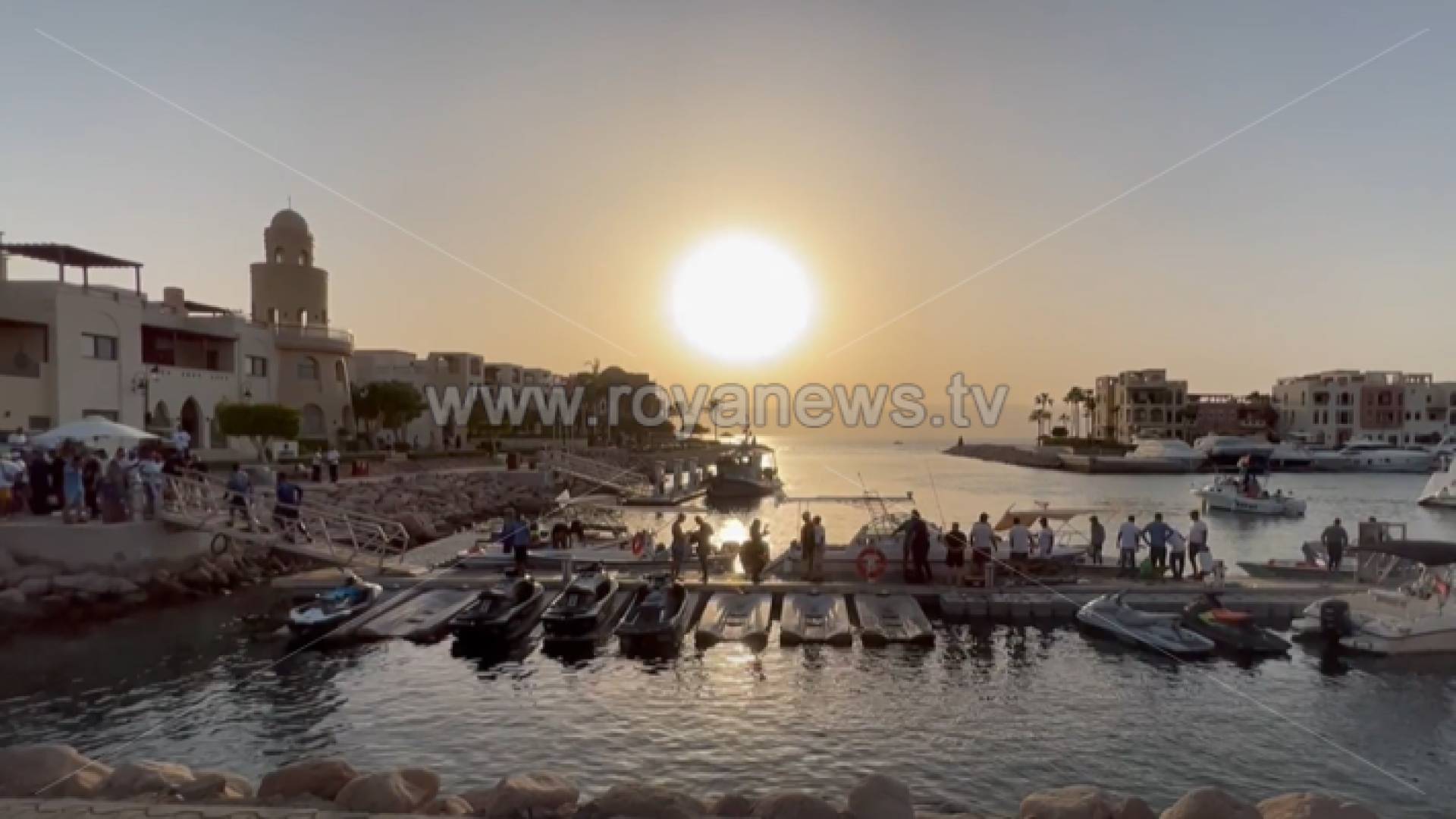 يمارس 186 صيادا مهنة الصيد في العقبة