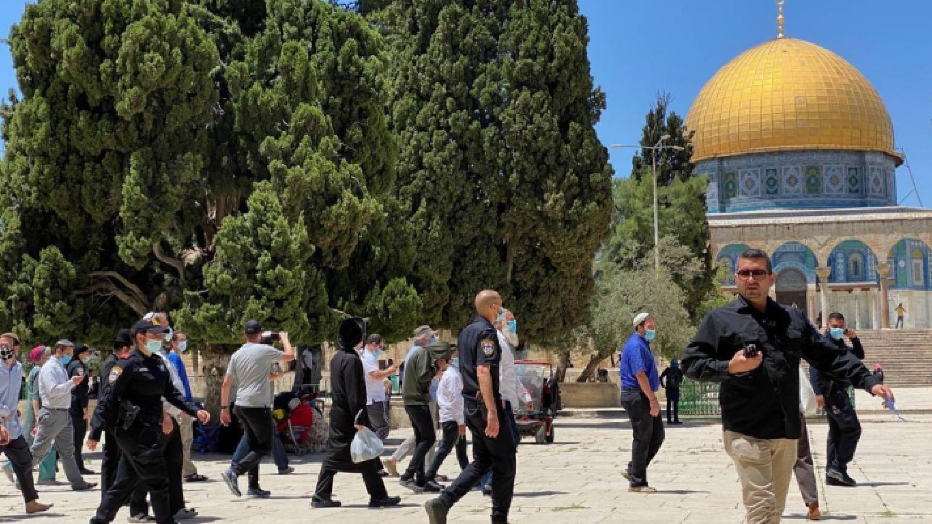 مستوطنون يقتحمون المسجد الأقصى