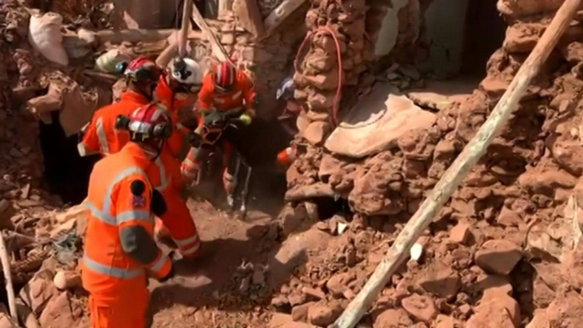 عمليات انقاذ الحمار