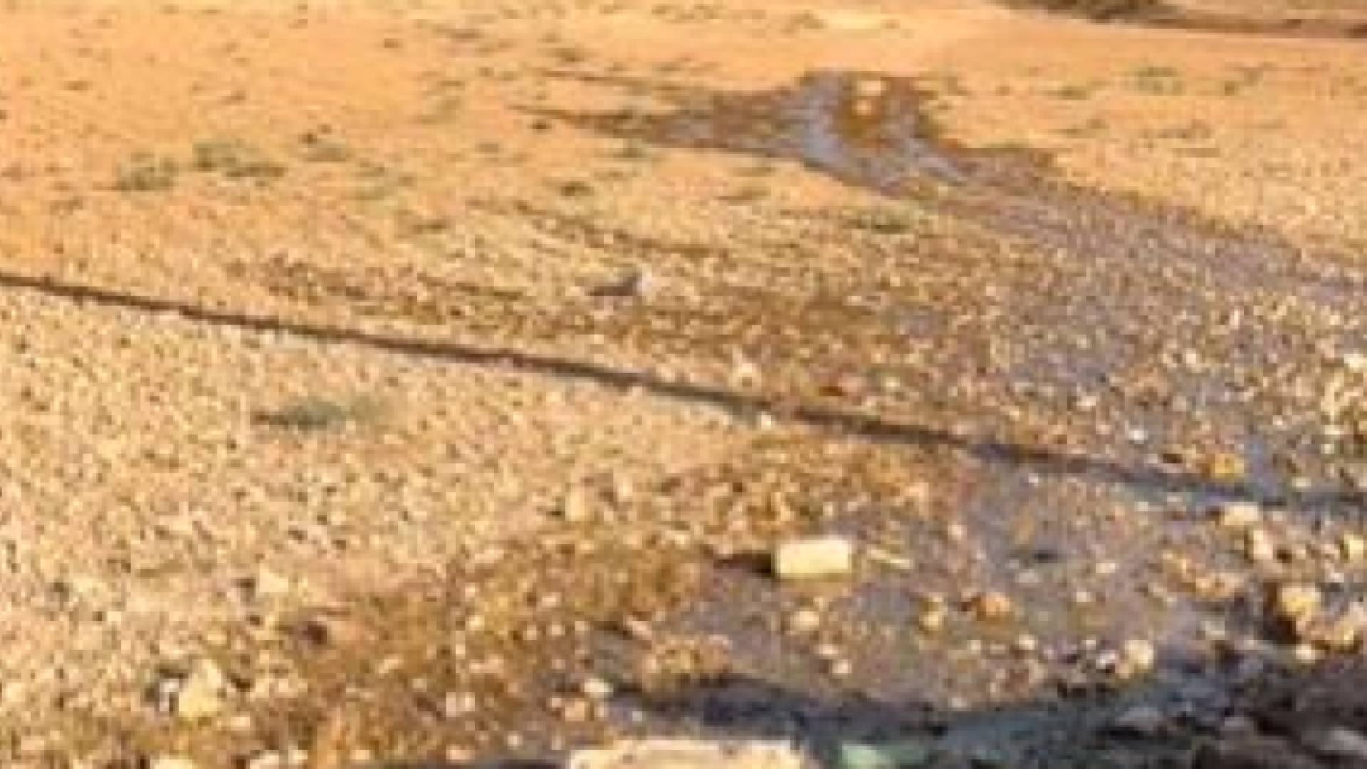 هدر المياه في بلدة الحمراء بالمفرق