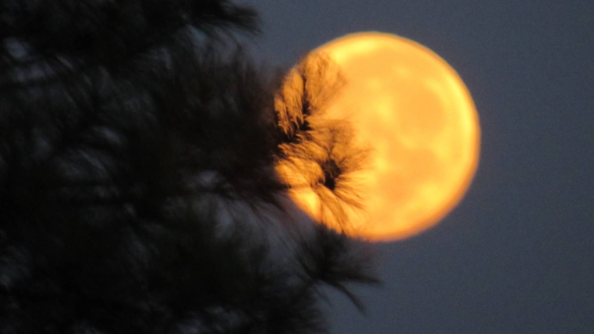 صورة أرشيفية لقمر الحصادين