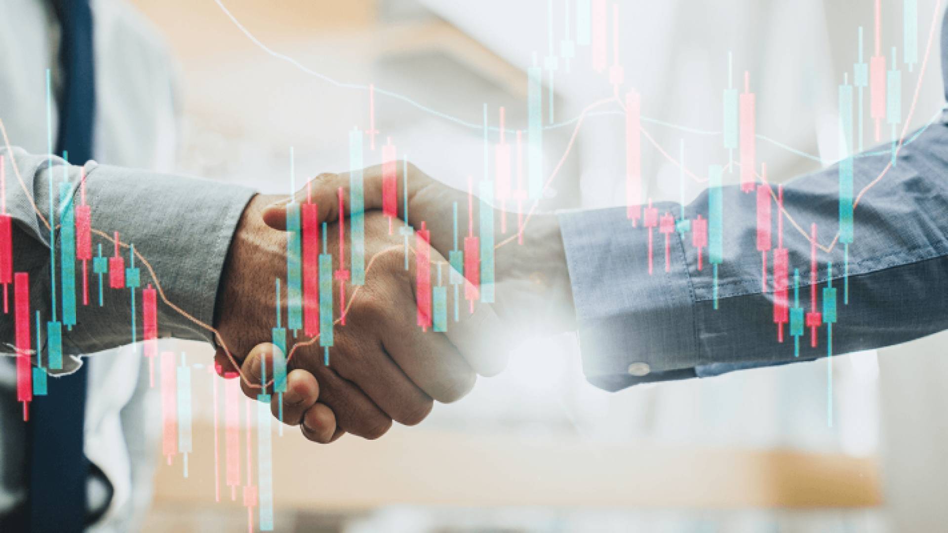 مفوضية الأمم المتحدة أشادت بالمشهد الاقتصادي في إربد