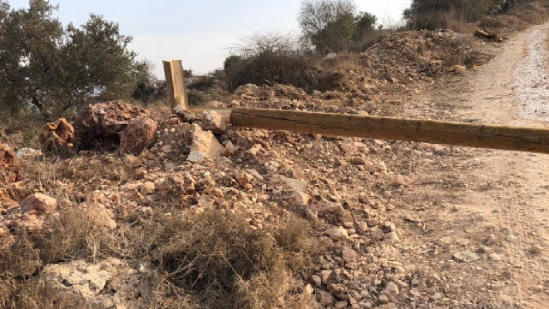 صورة أرشيفية لعمود كهرباء قطعه مستوطنون