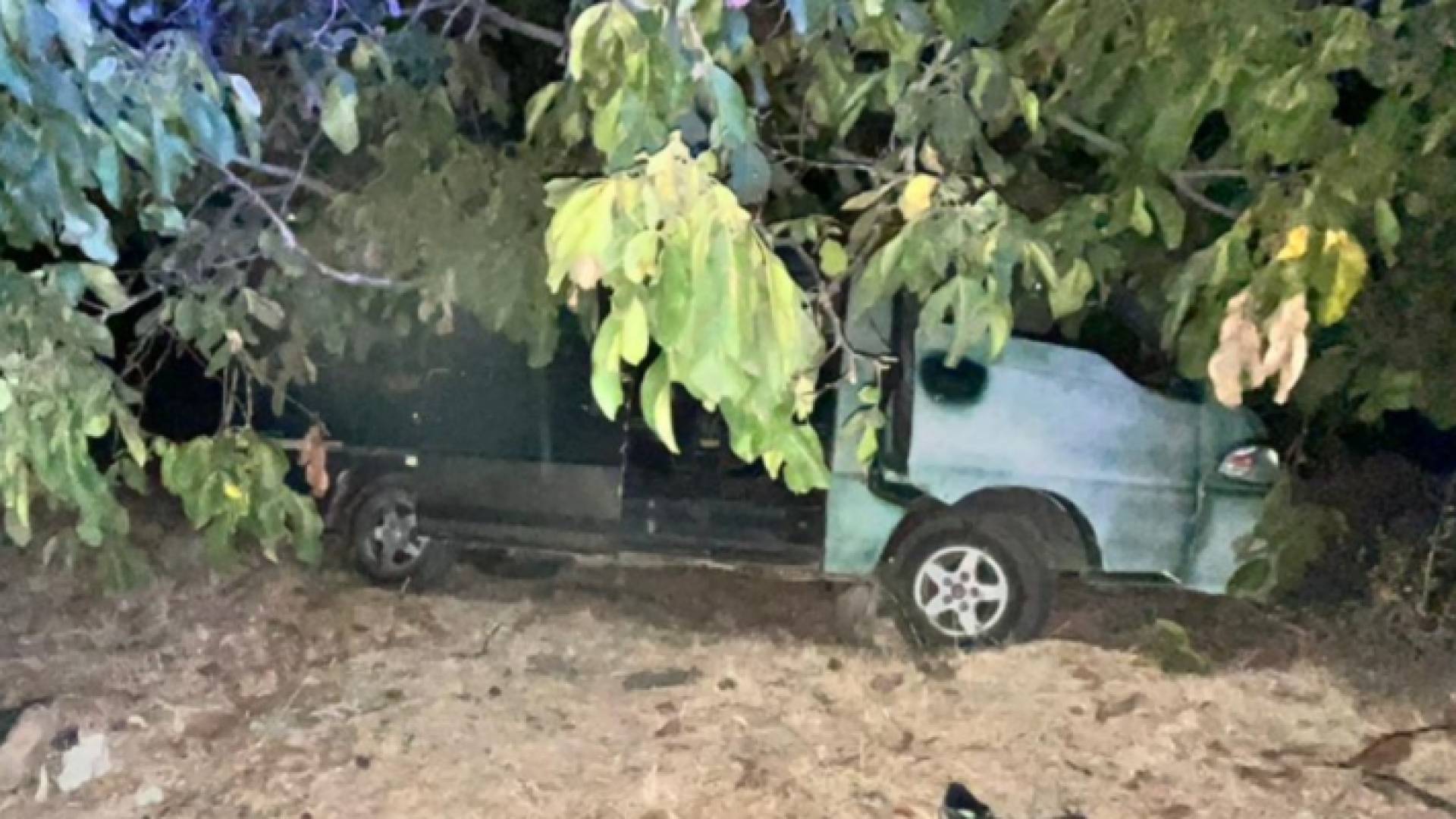 الآلية التي كانت تقل سوريين عقب اصطدامها بعامود