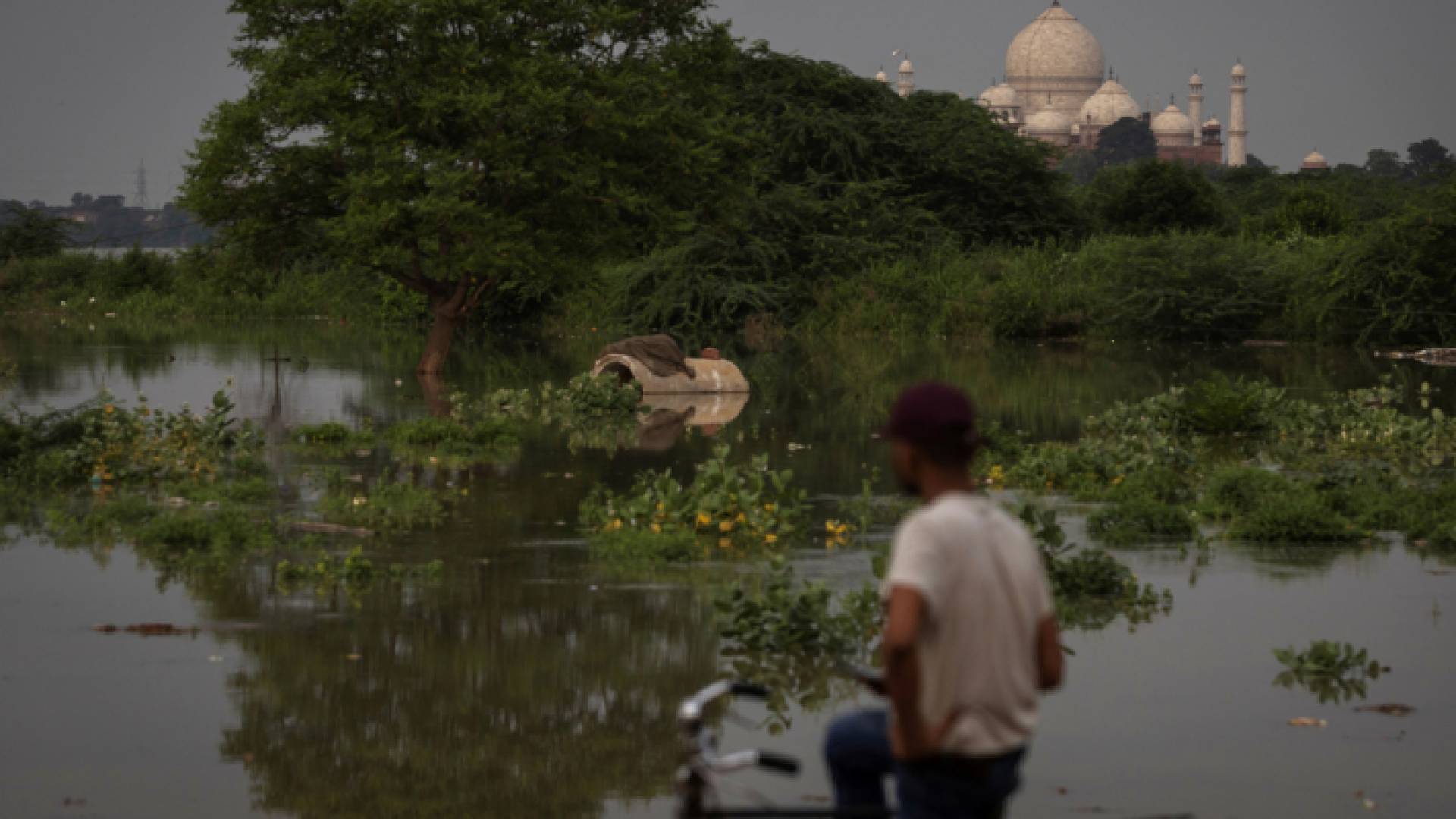 تعتمد الهند على الأمطار الموسمية للإنتاج الزراعي