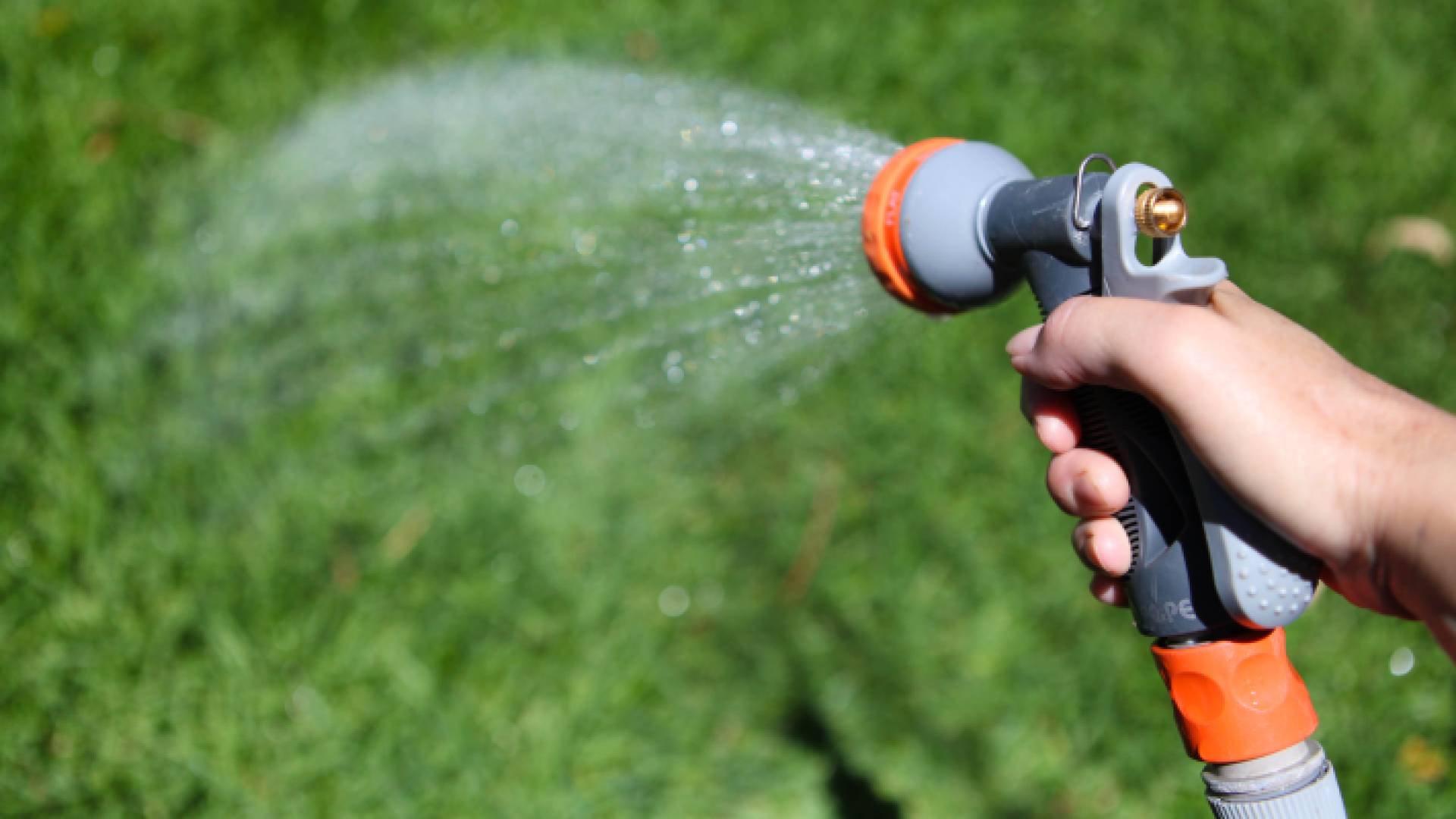 صورة تعبيرية لرش مبيد حشري على المزروعات