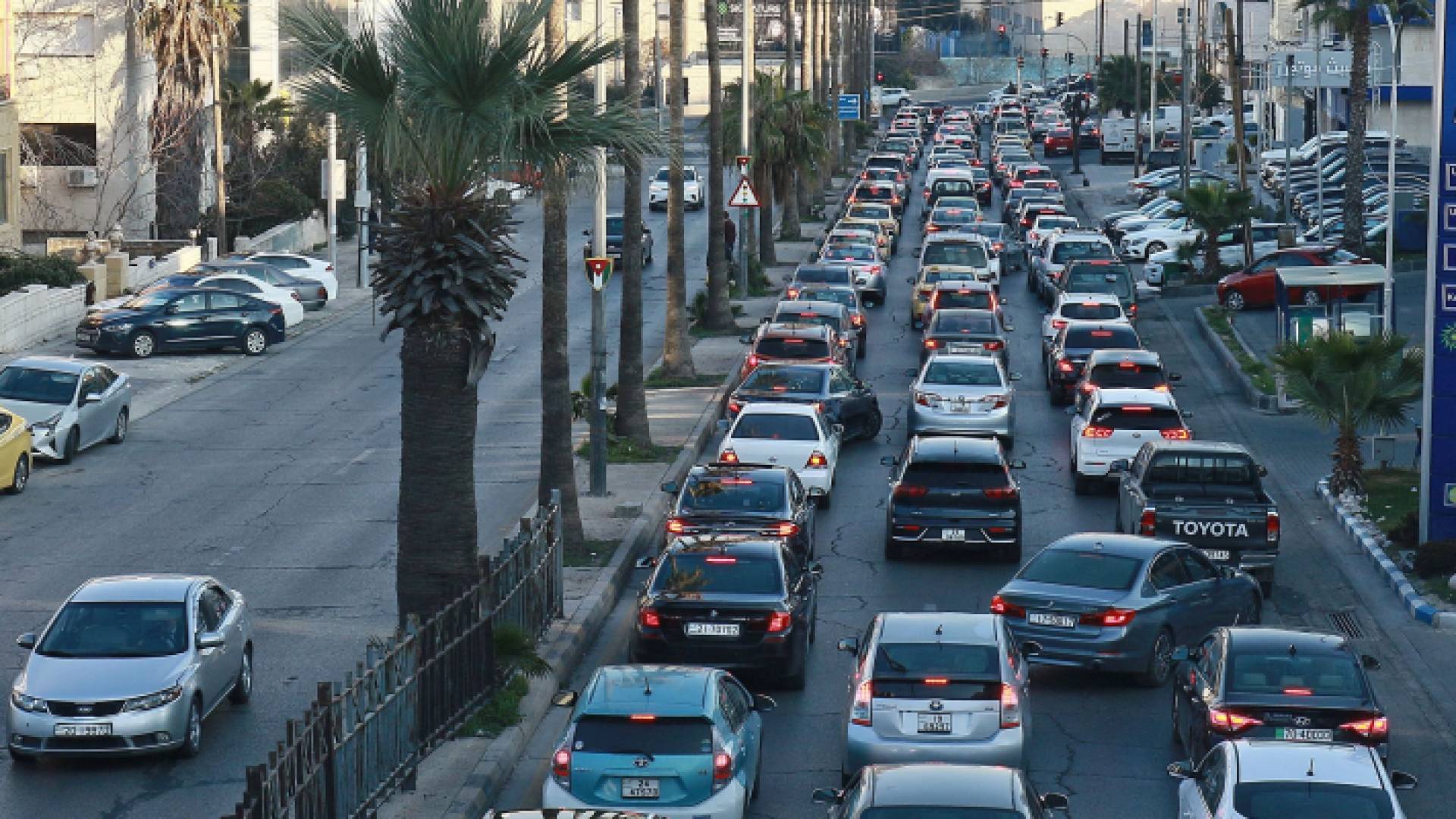 توقف مركبات عند إشارة سير في شوارع الأردن