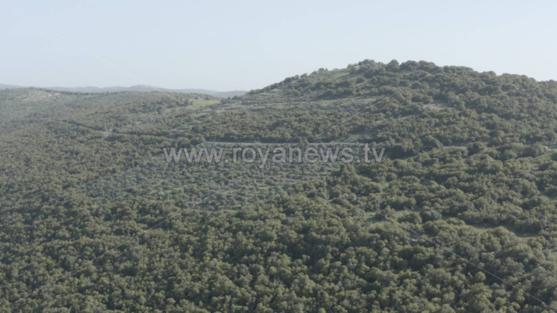 غابات عجلون وجرش