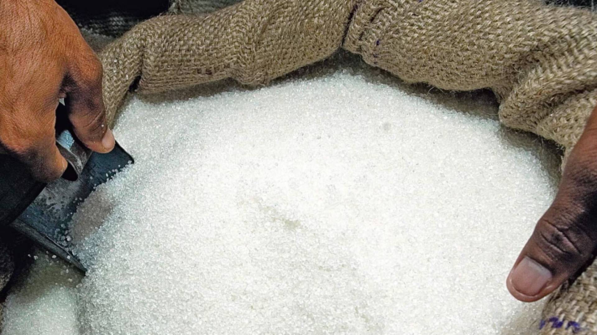 شهد مؤشر أسعار السكر ارتفاعا بنسبة 9.8 بالمئة في آب