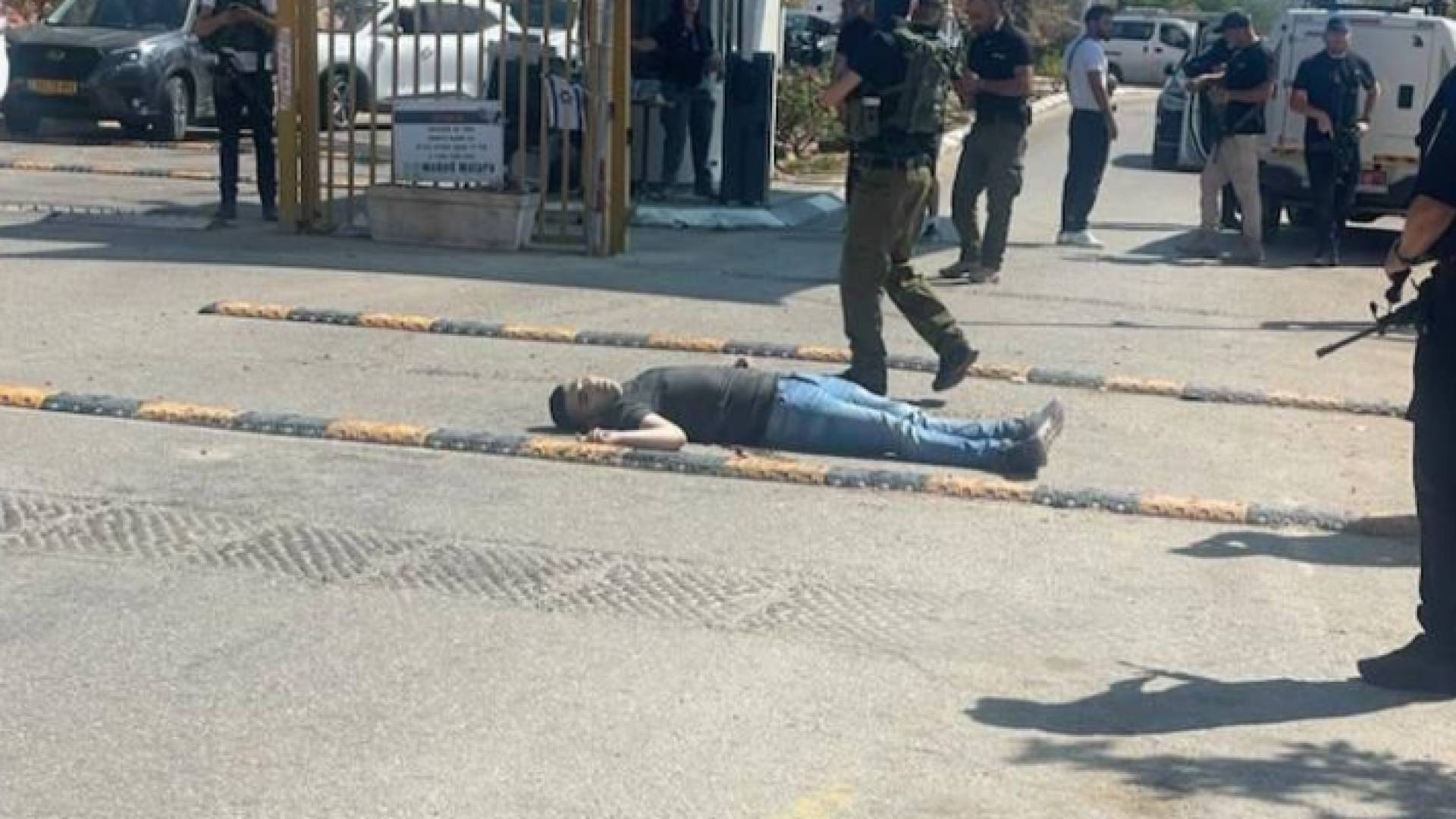 من موقع تنفيذ عملية الطعن