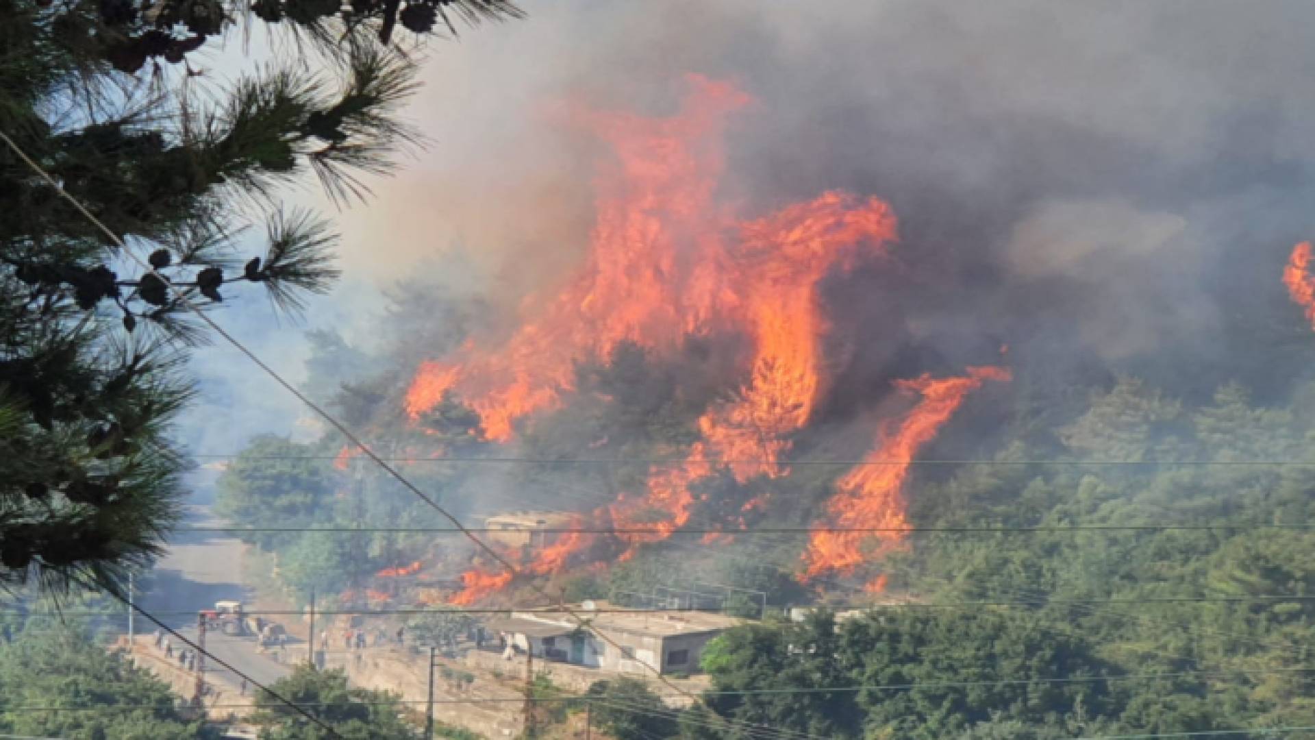 صورة أرشيفية لحرائق في إحدى المناطق بلبنان
