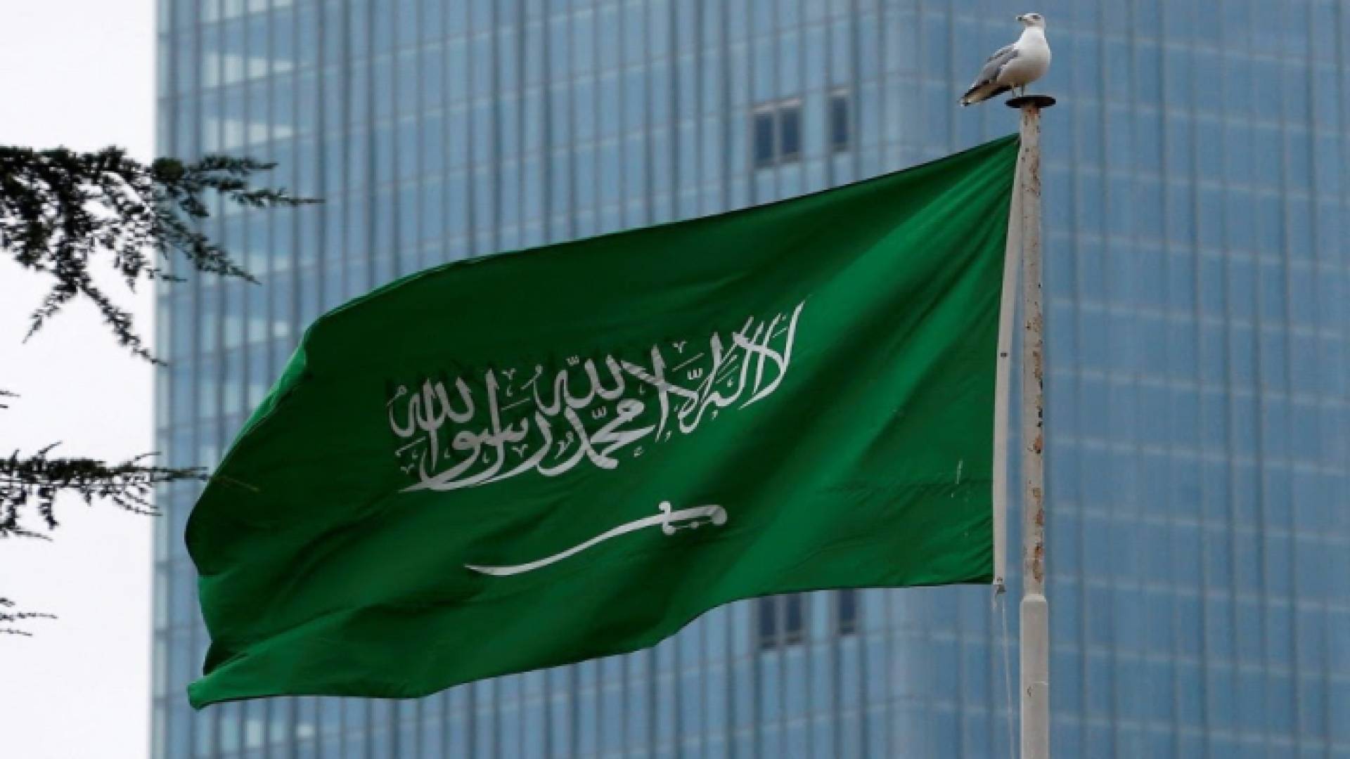 علم السعودية