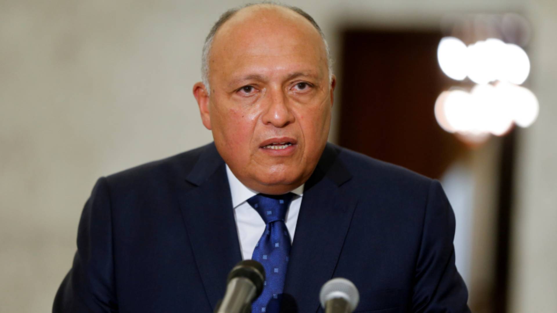 وزير الخارجية المصري سامح شكري