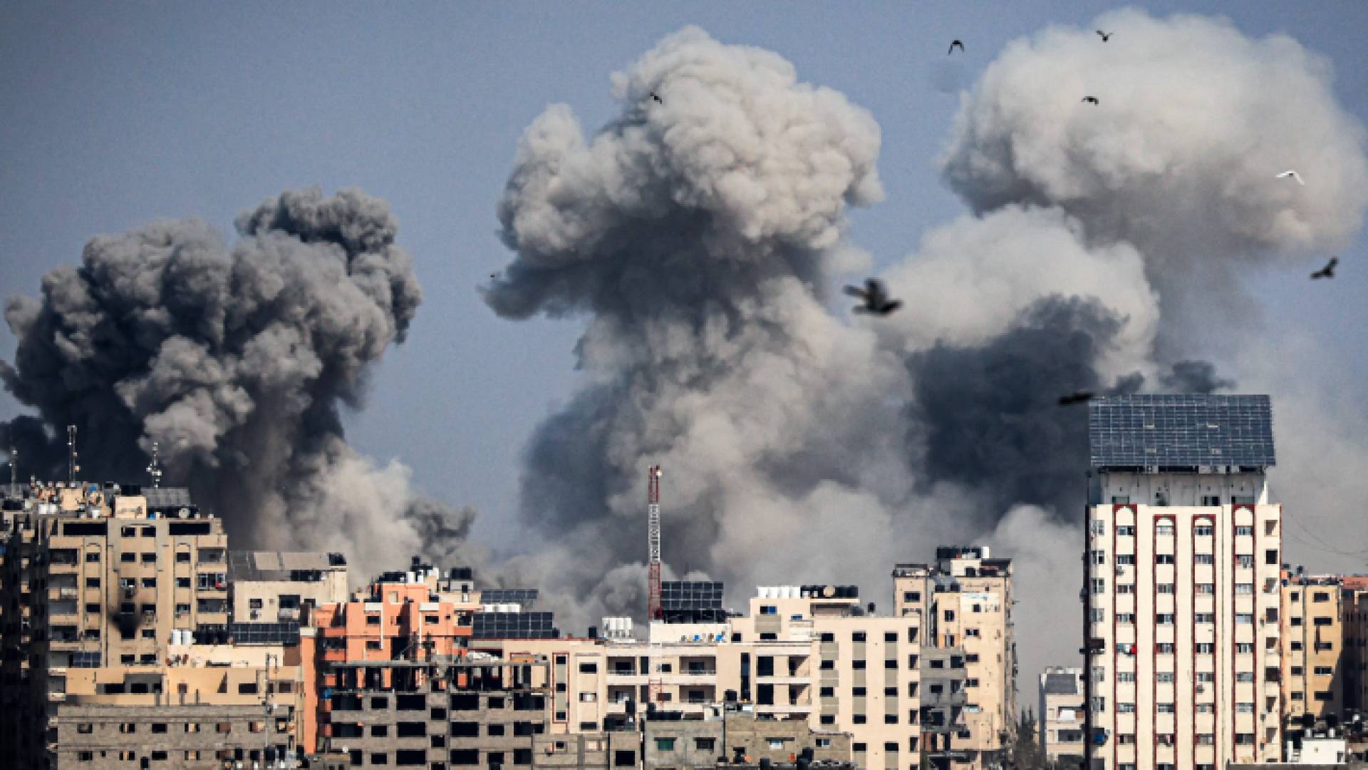 العدوان على غزة