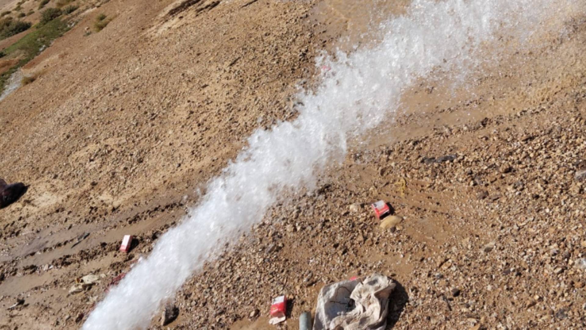 اليماه التي ضبطت في الكرك