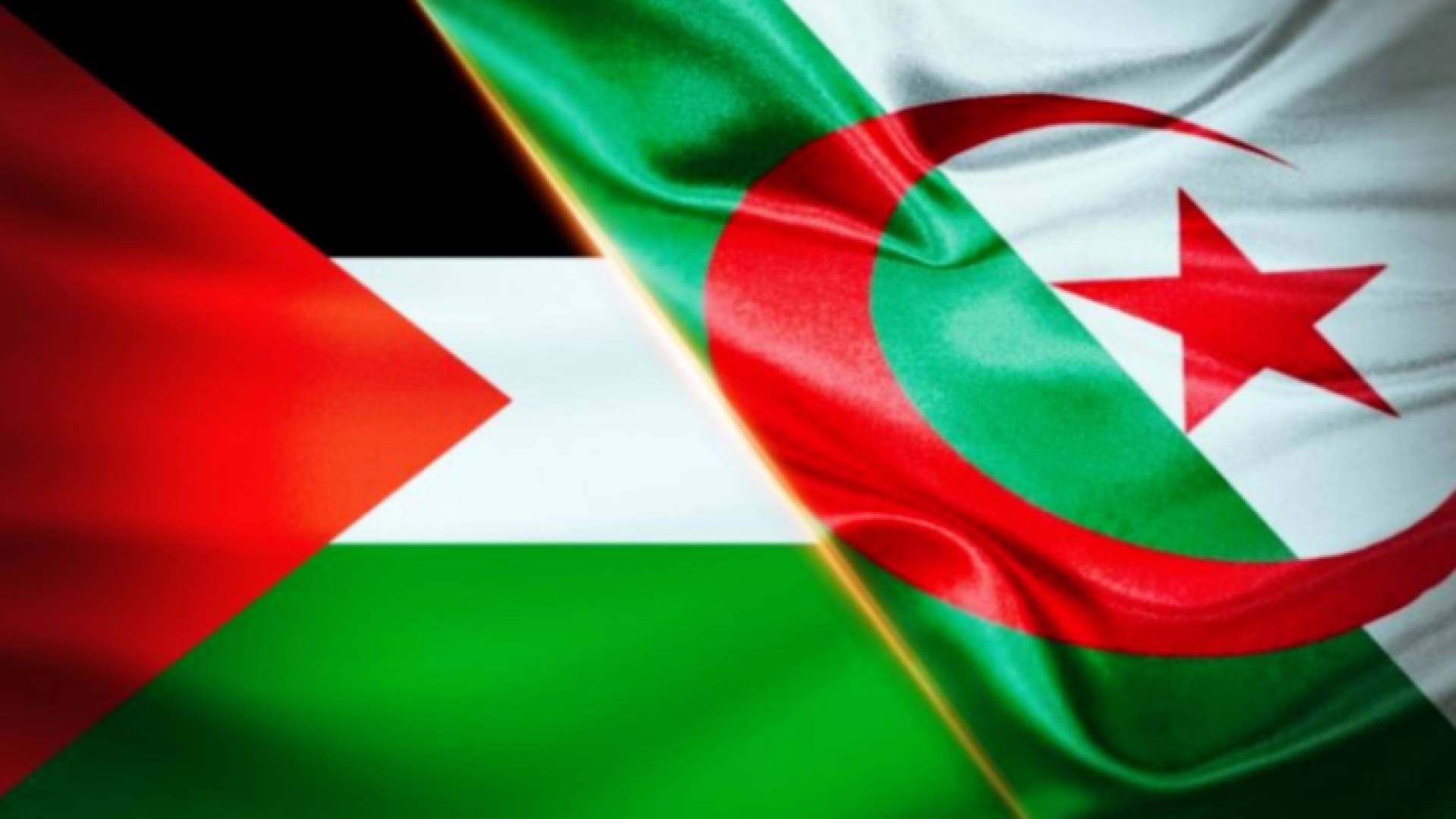 العلم الفلسطيني والجزائري